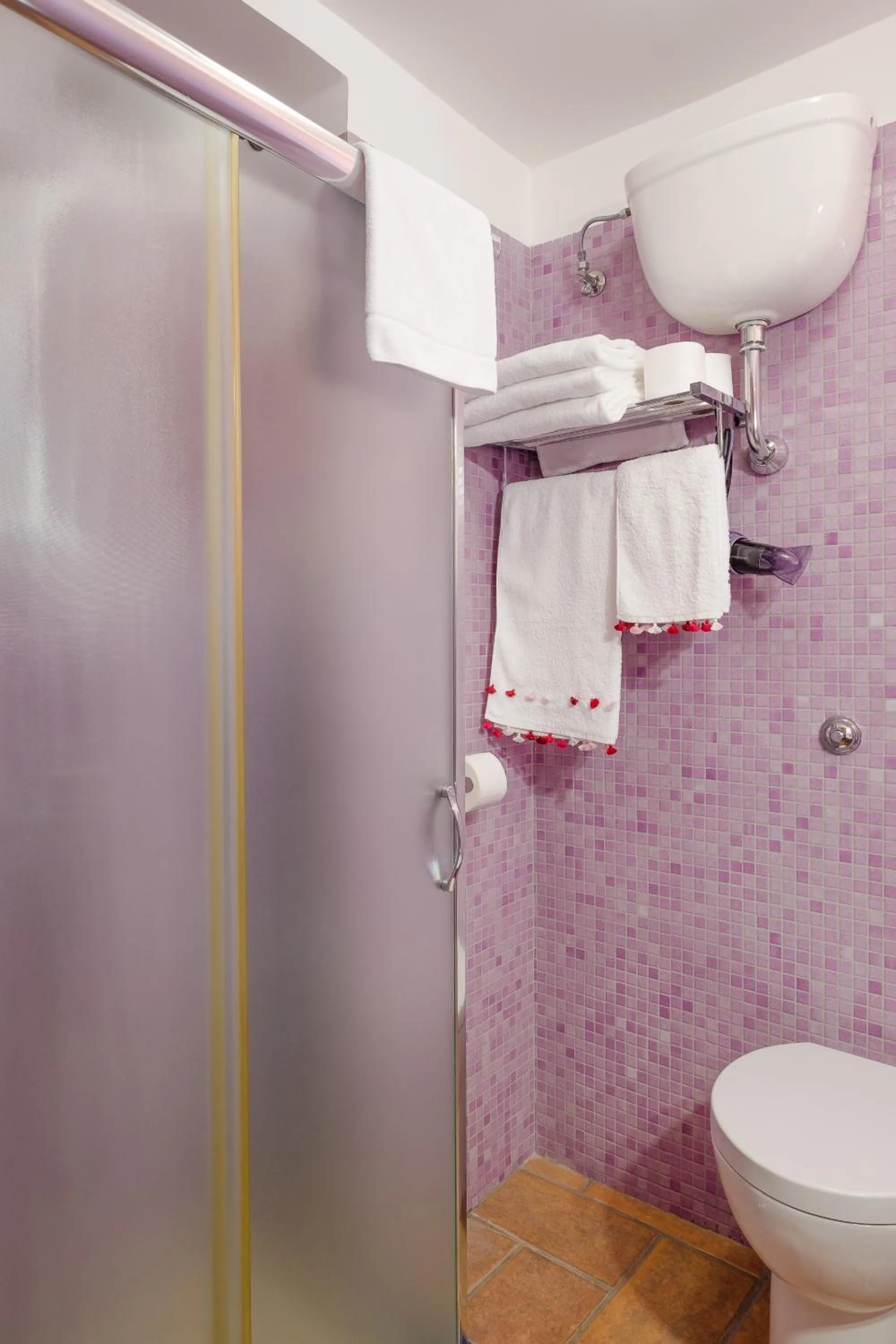 Toilet in B&B La Casa Di Plinio