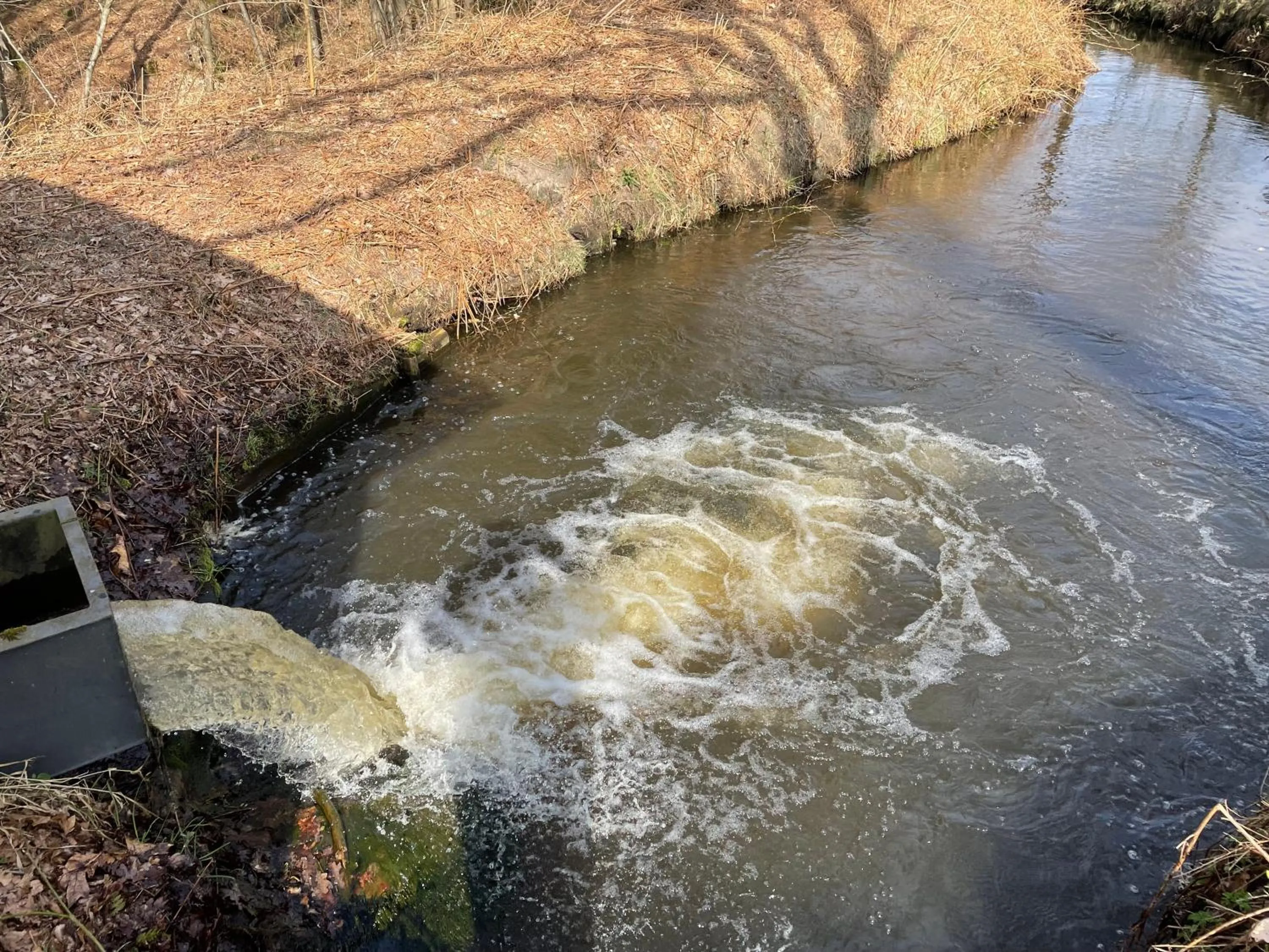 Cycling in Landhotel Witte-König