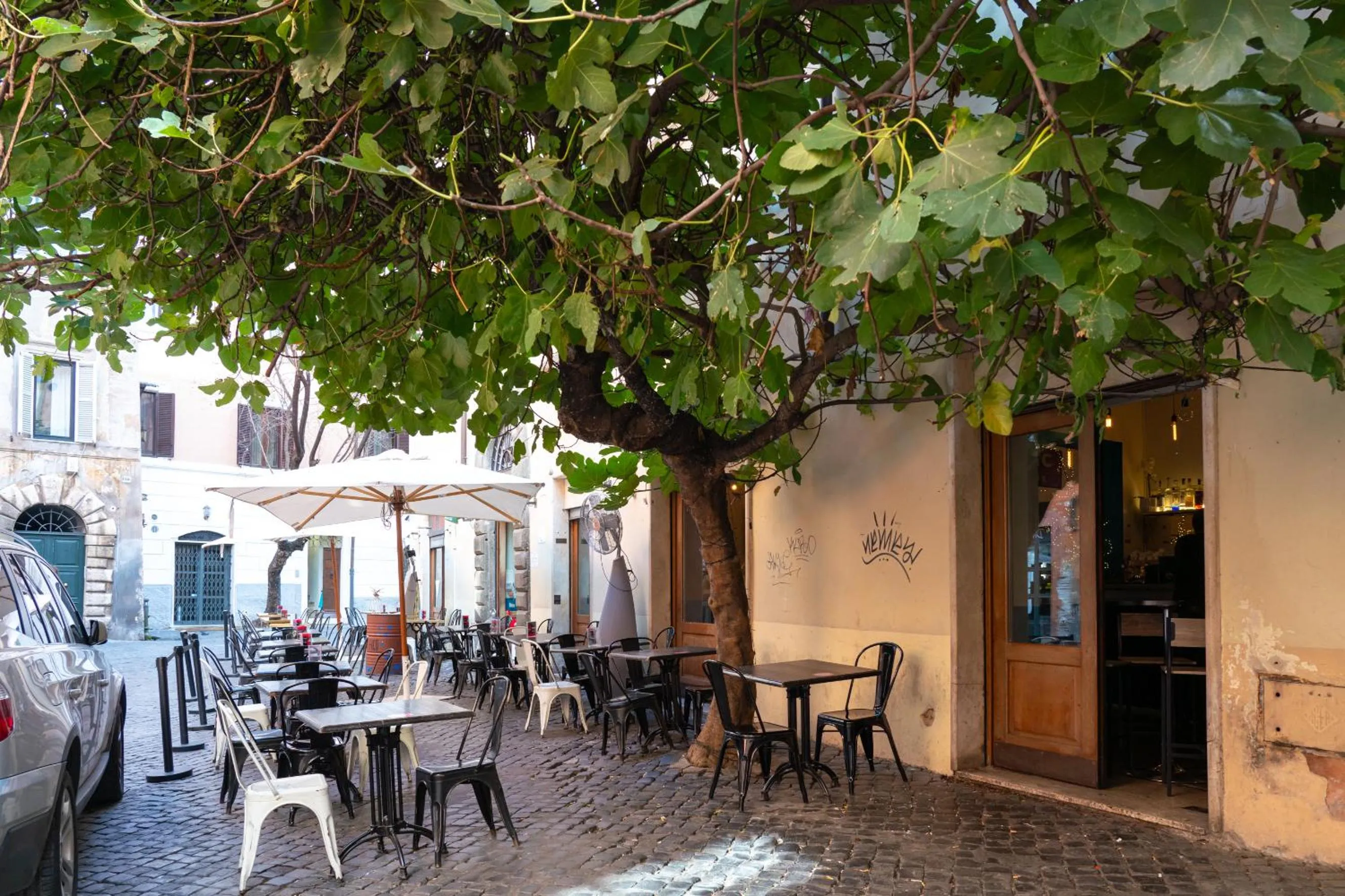 Guest House o Affittacamere Magenta Fico 2