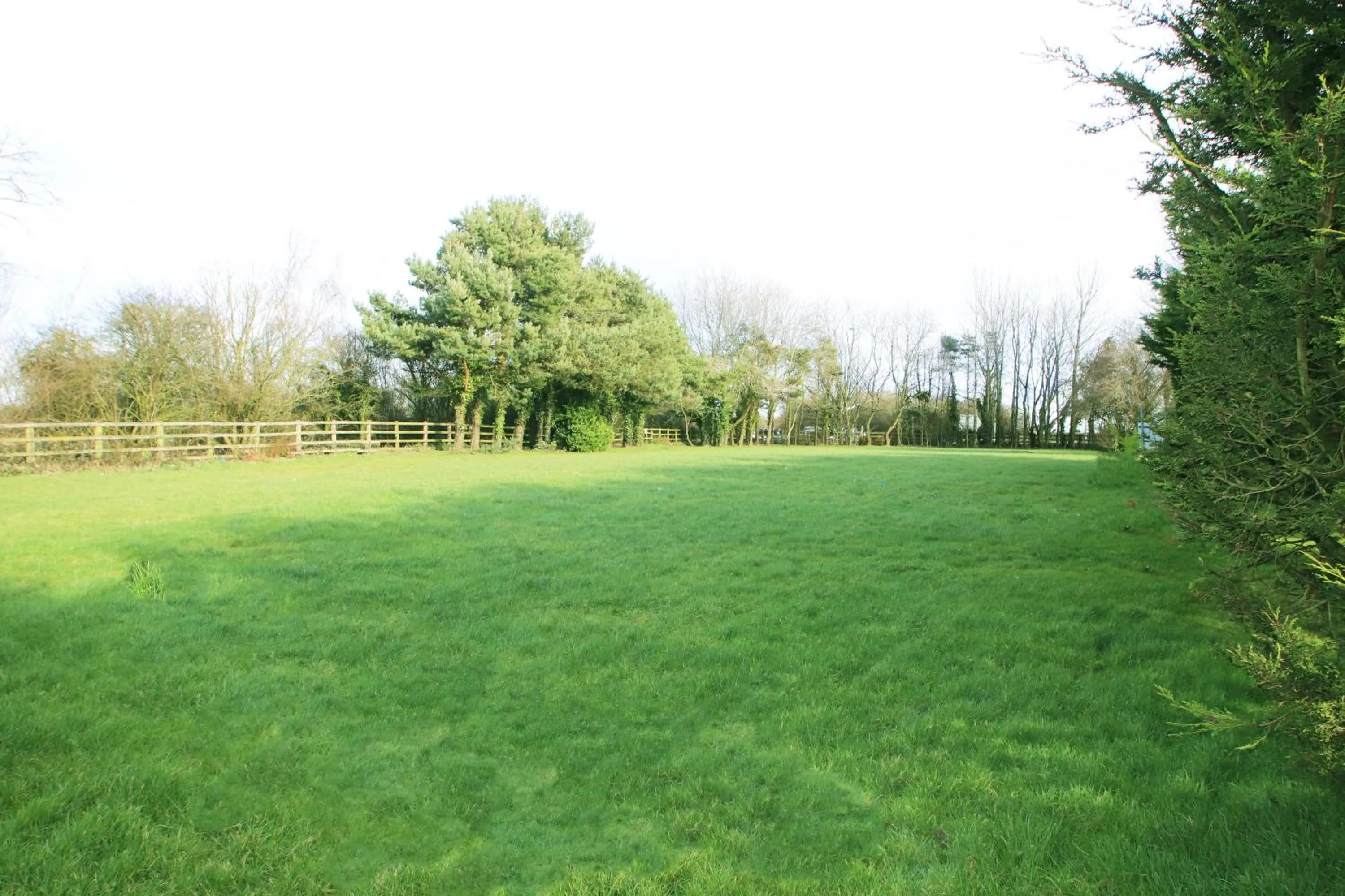 Garden in Vale Park Hotel