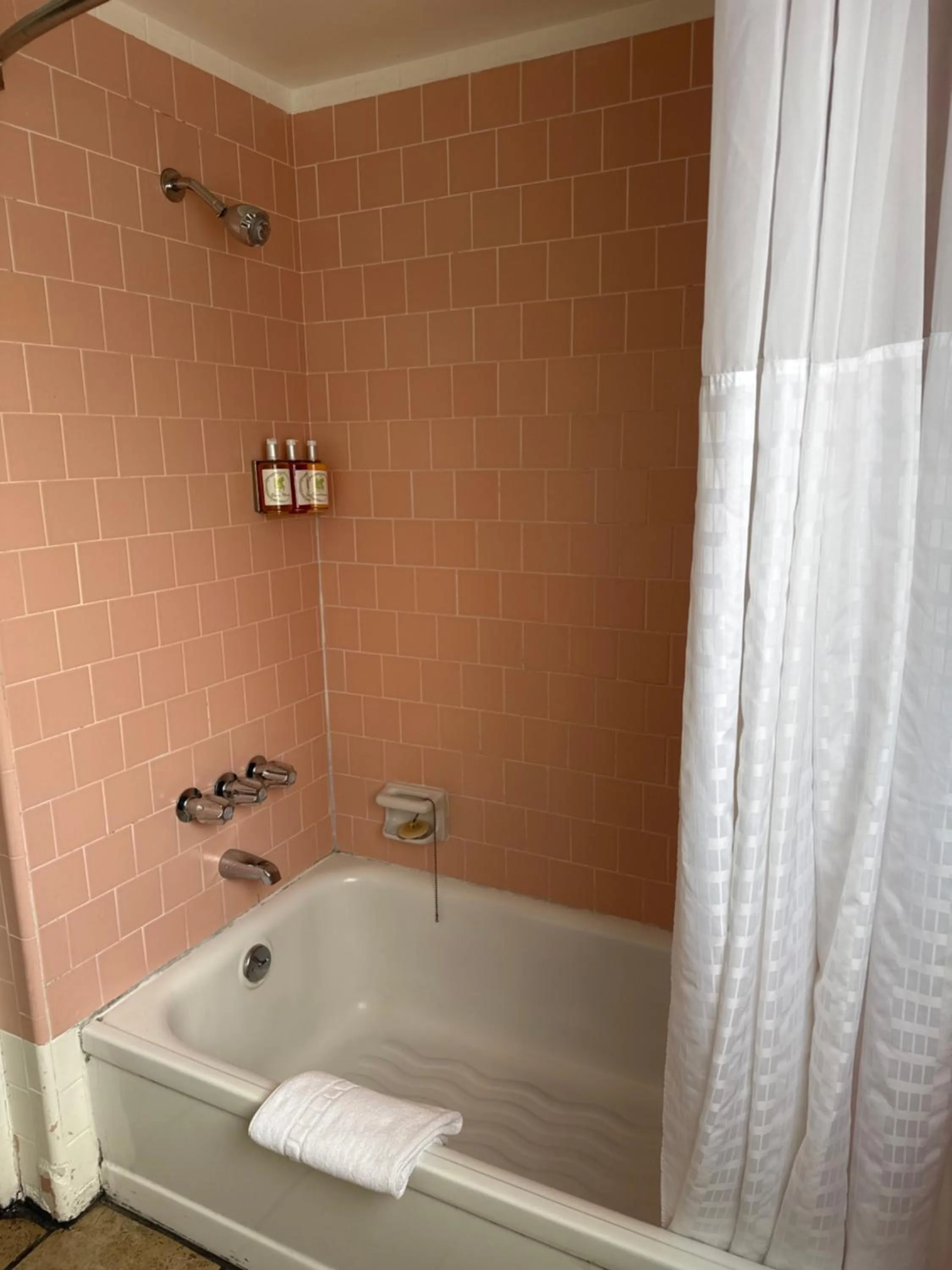 Bathroom in Carmel Resort Inn