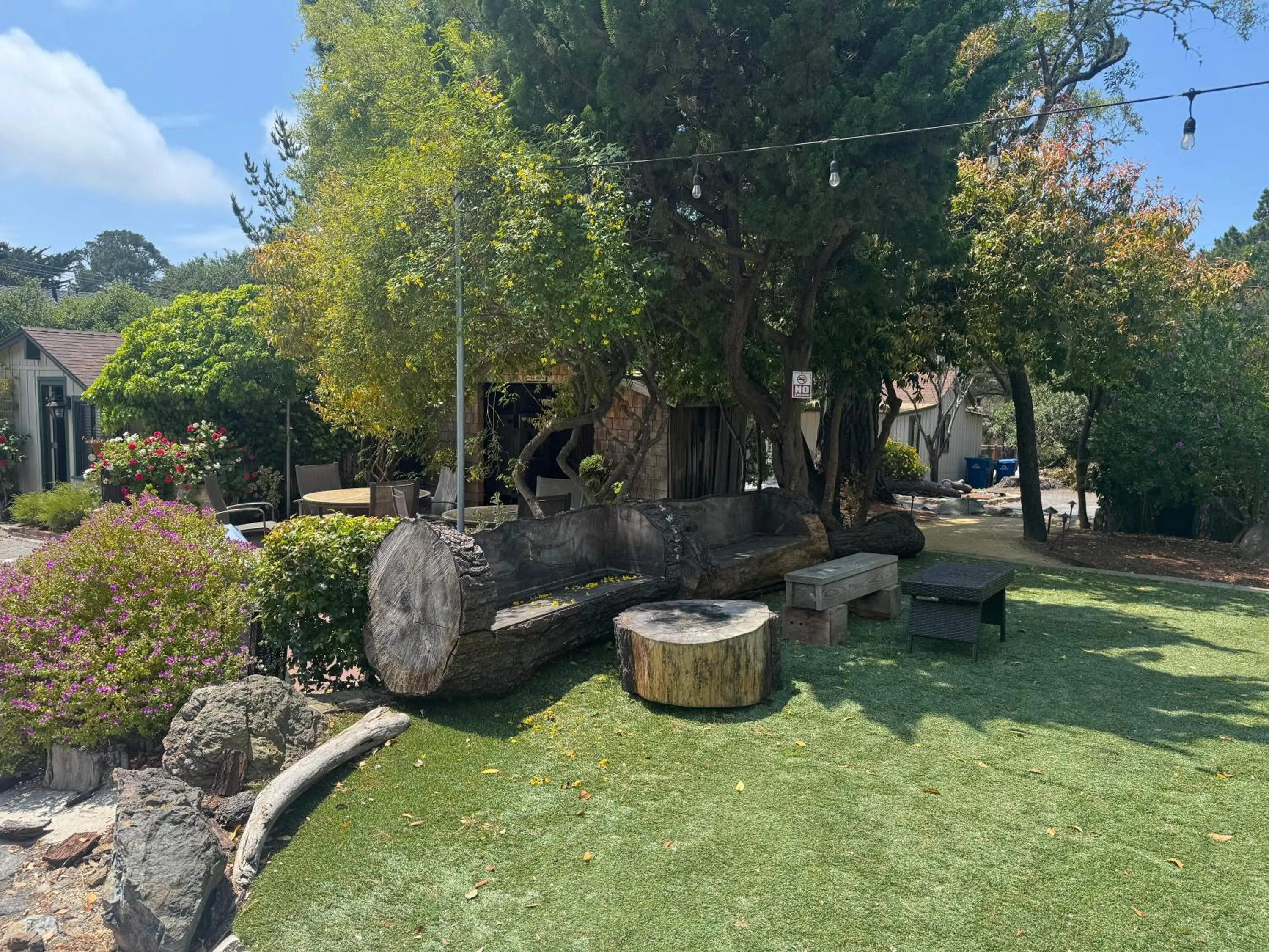 Natural landscape in Carmel Resort Inn