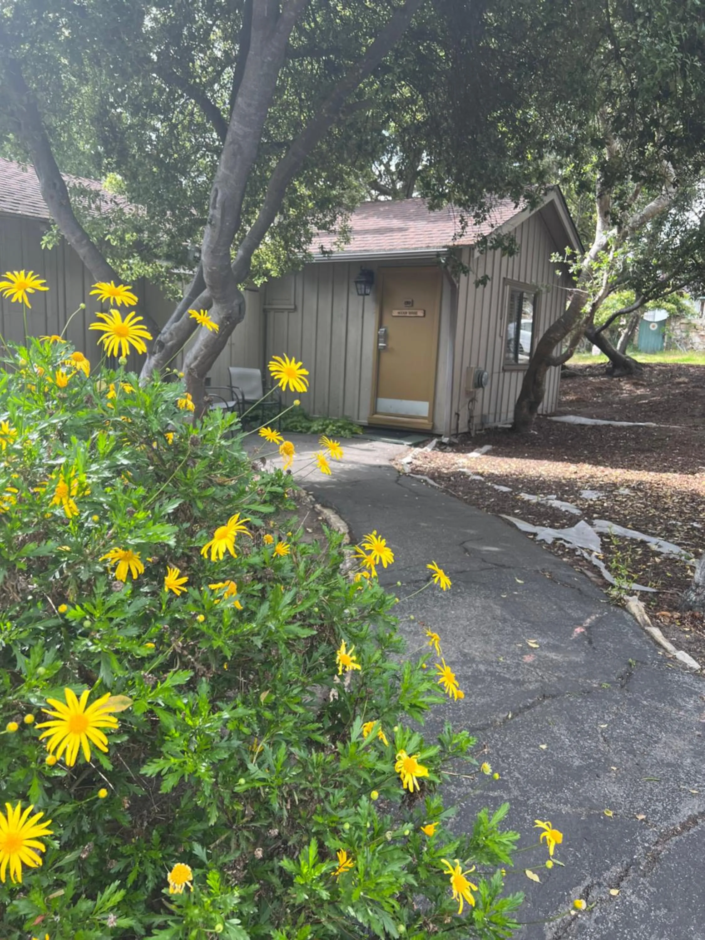 Spring in Carmel Resort Inn