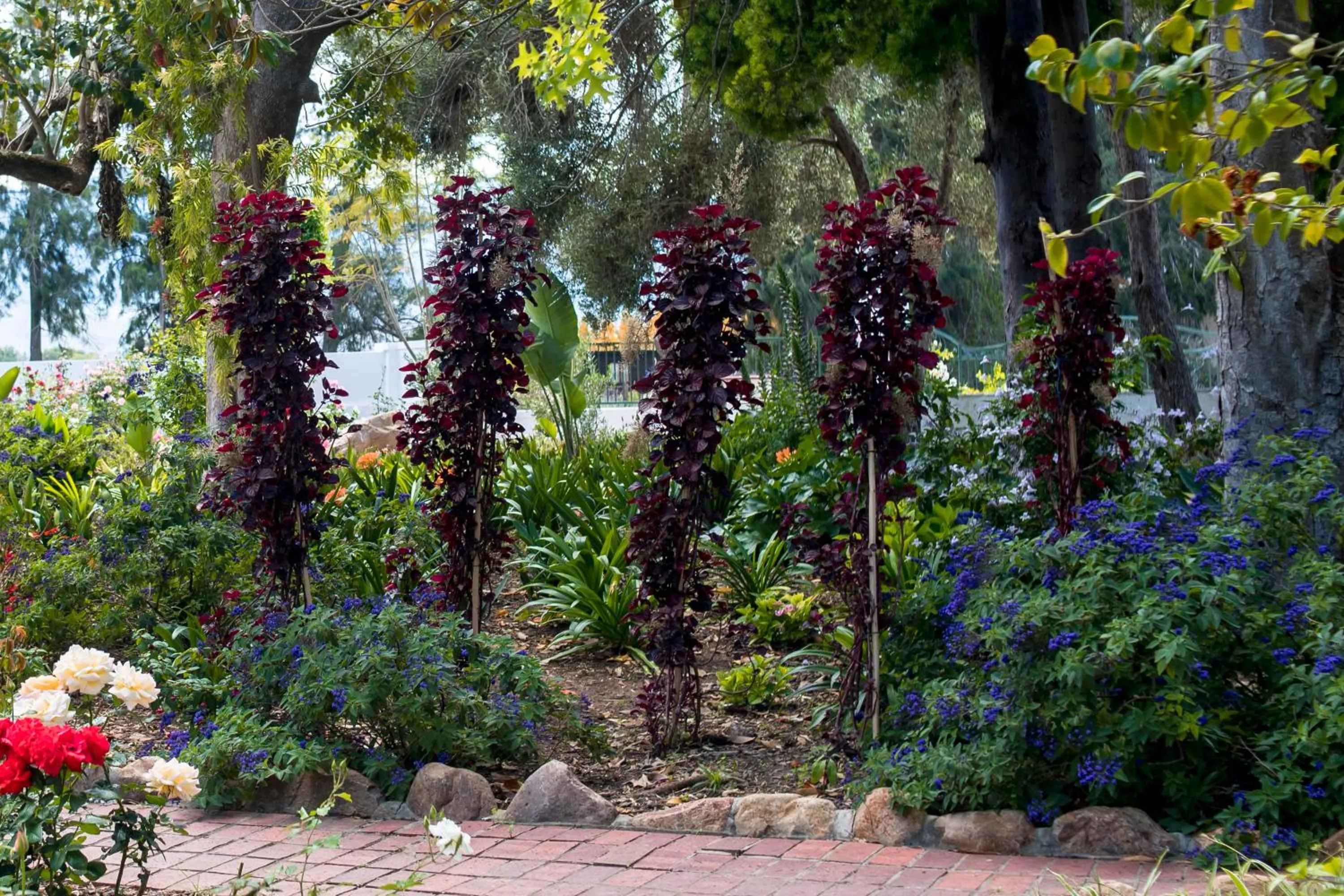 Garden in Green Olive Guesthouse