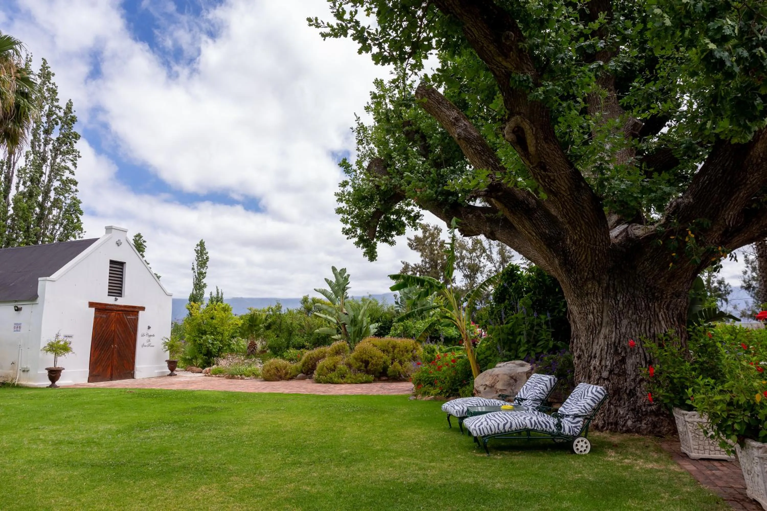 Garden in Green Olive Guesthouse