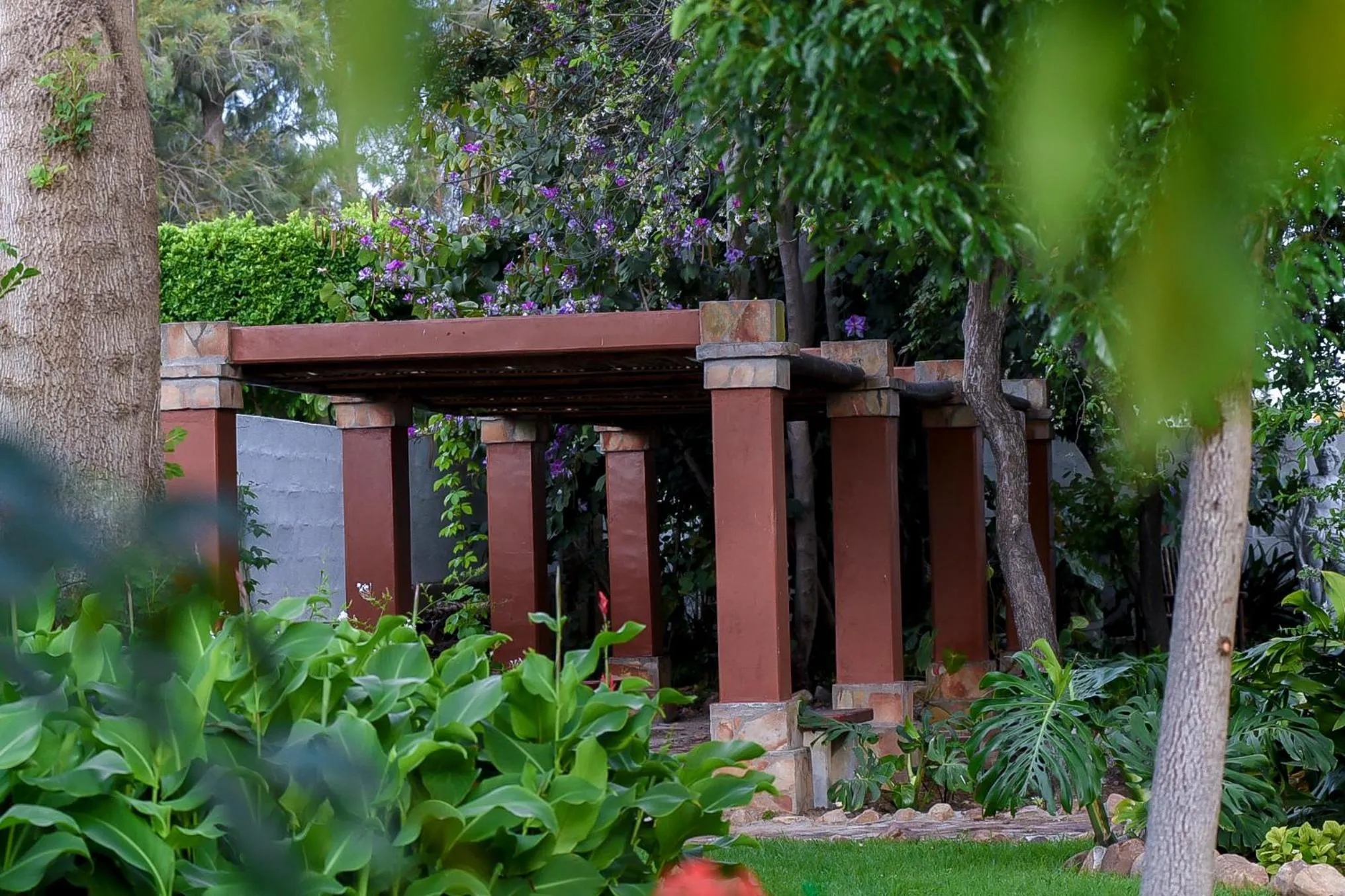 Garden in Green Olive Guesthouse