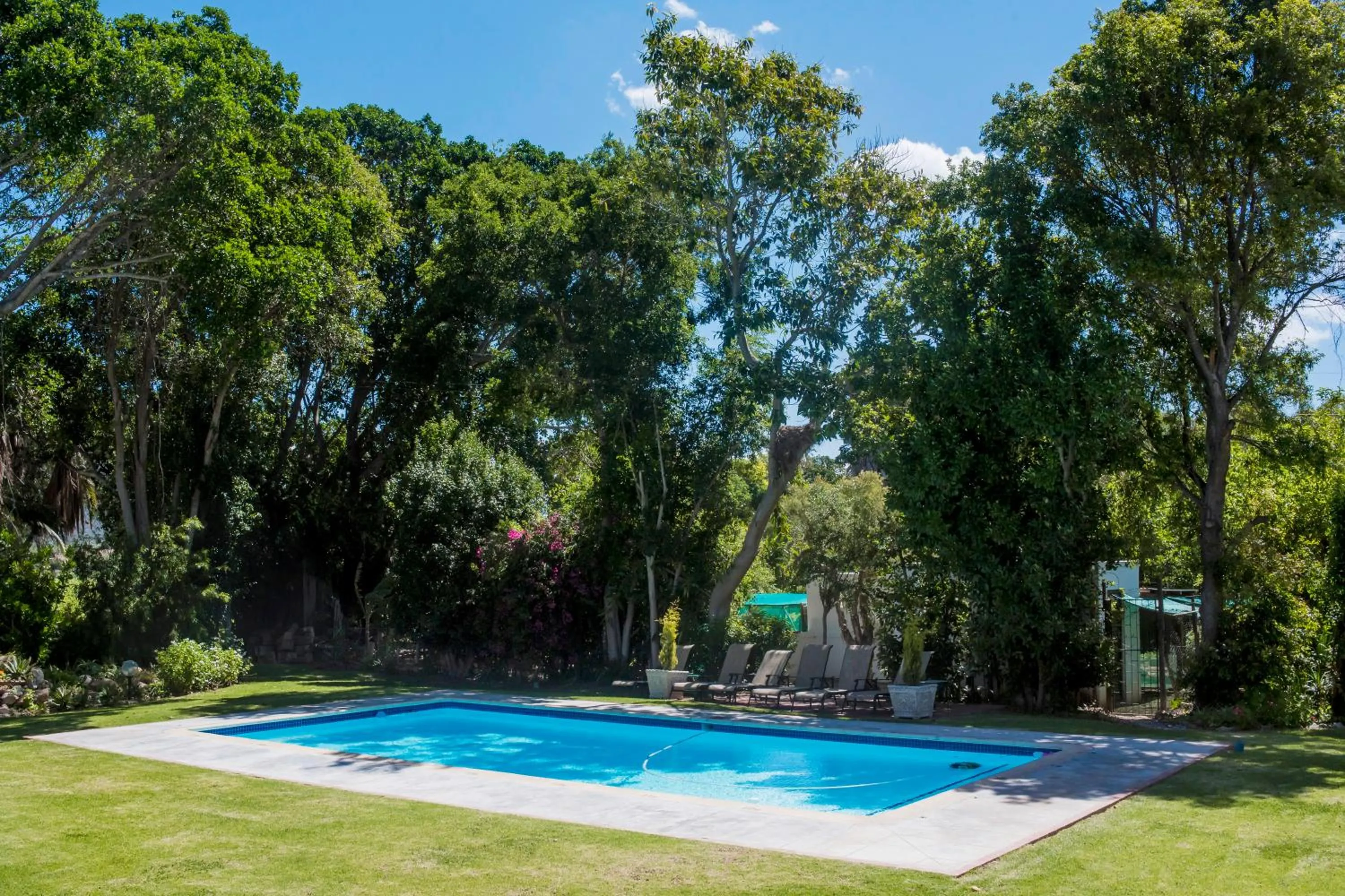 Swimming pool in Green Olive Guesthouse