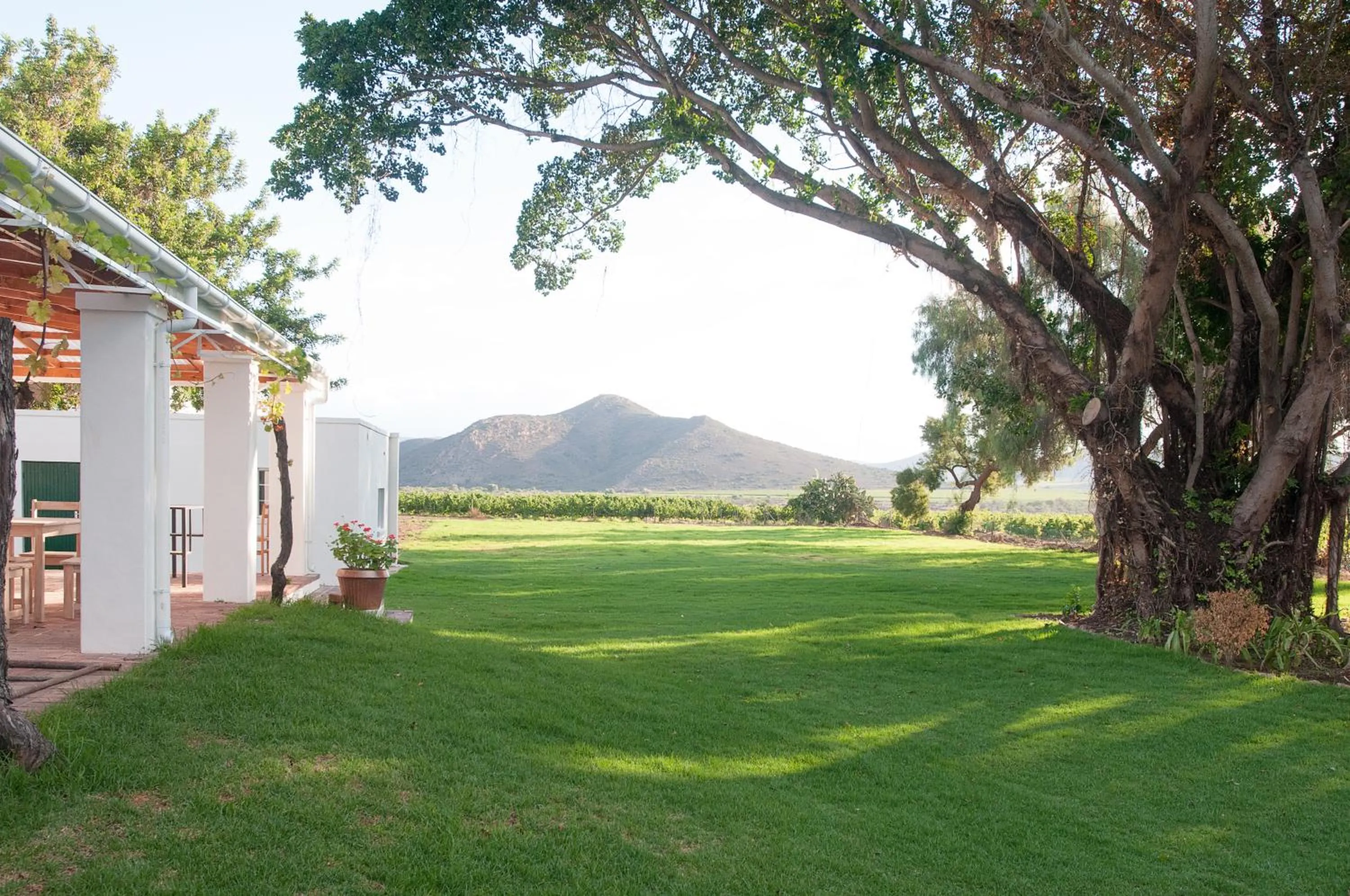 Facade/entrance in Green Olive Guesthouse