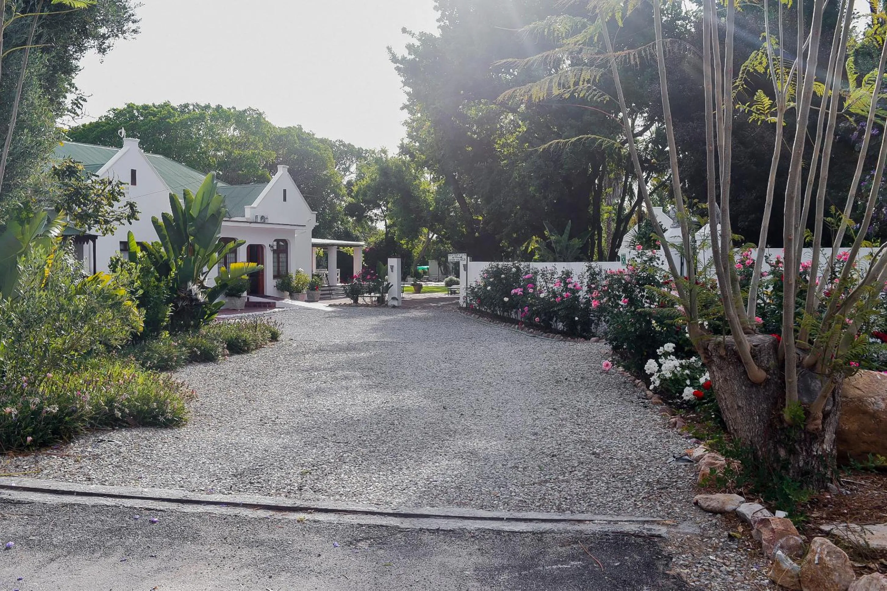 Property building in Green Olive Guesthouse