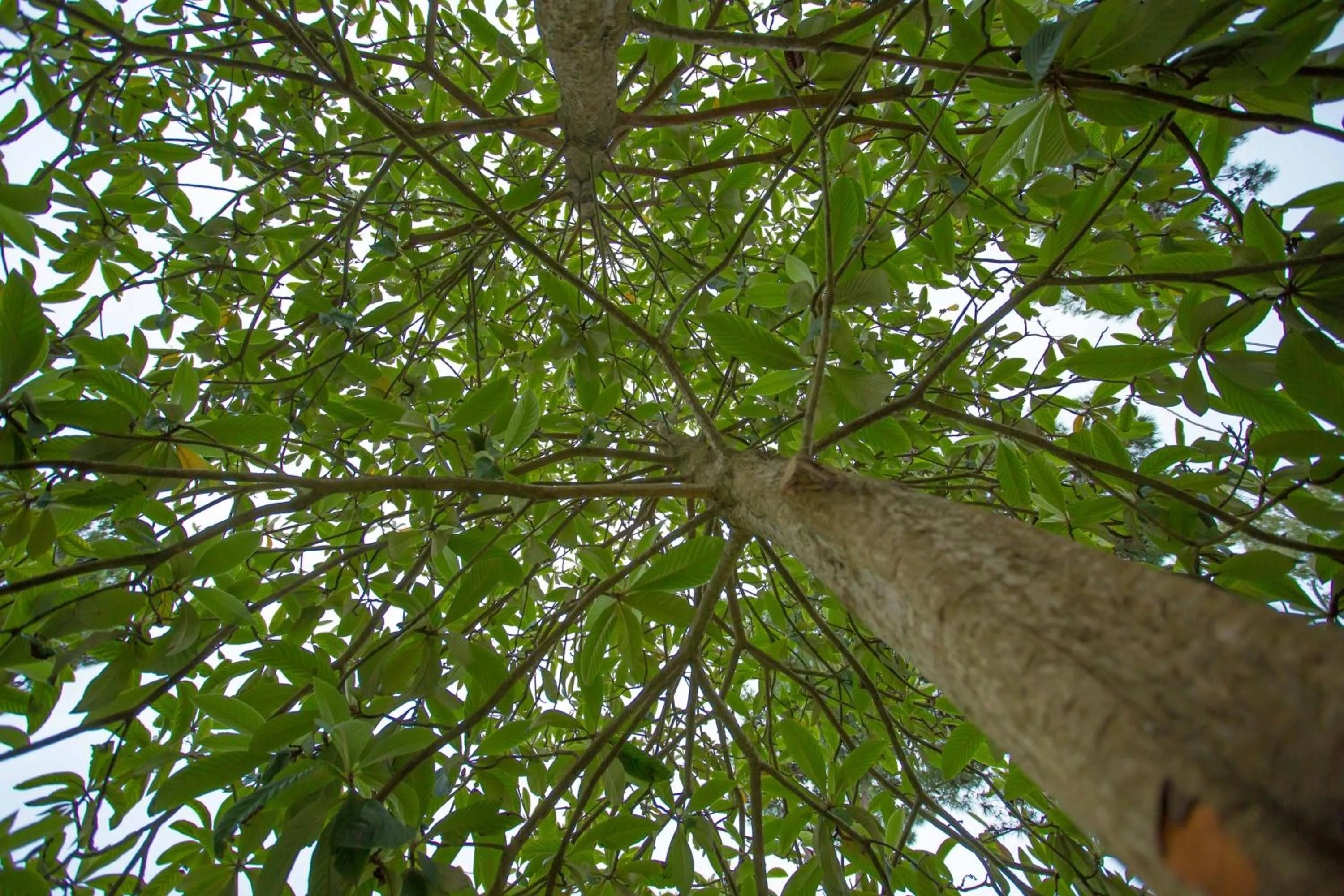 Natural landscape in Posada del Bosque By HS