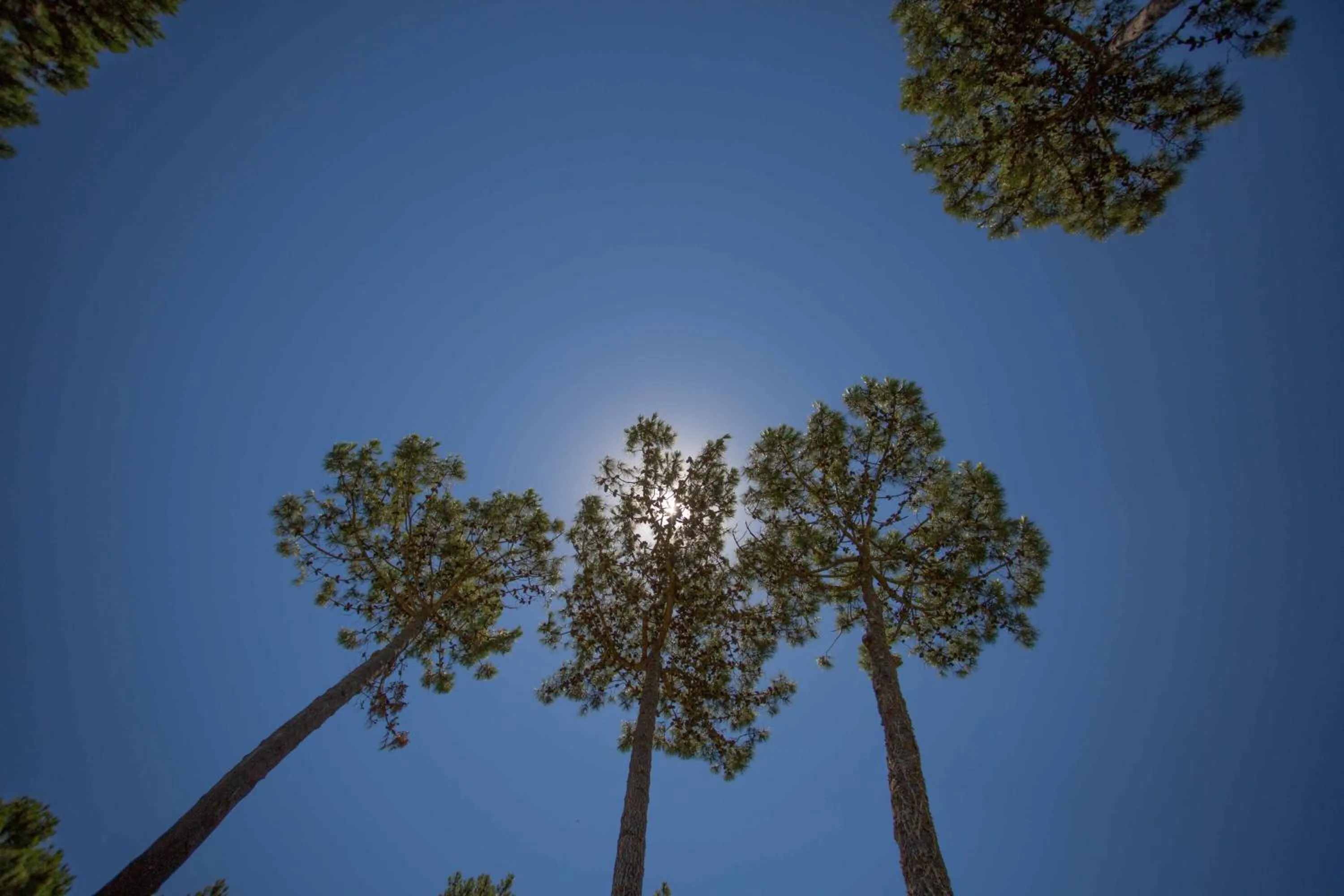 Other in Posada del Bosque By HS