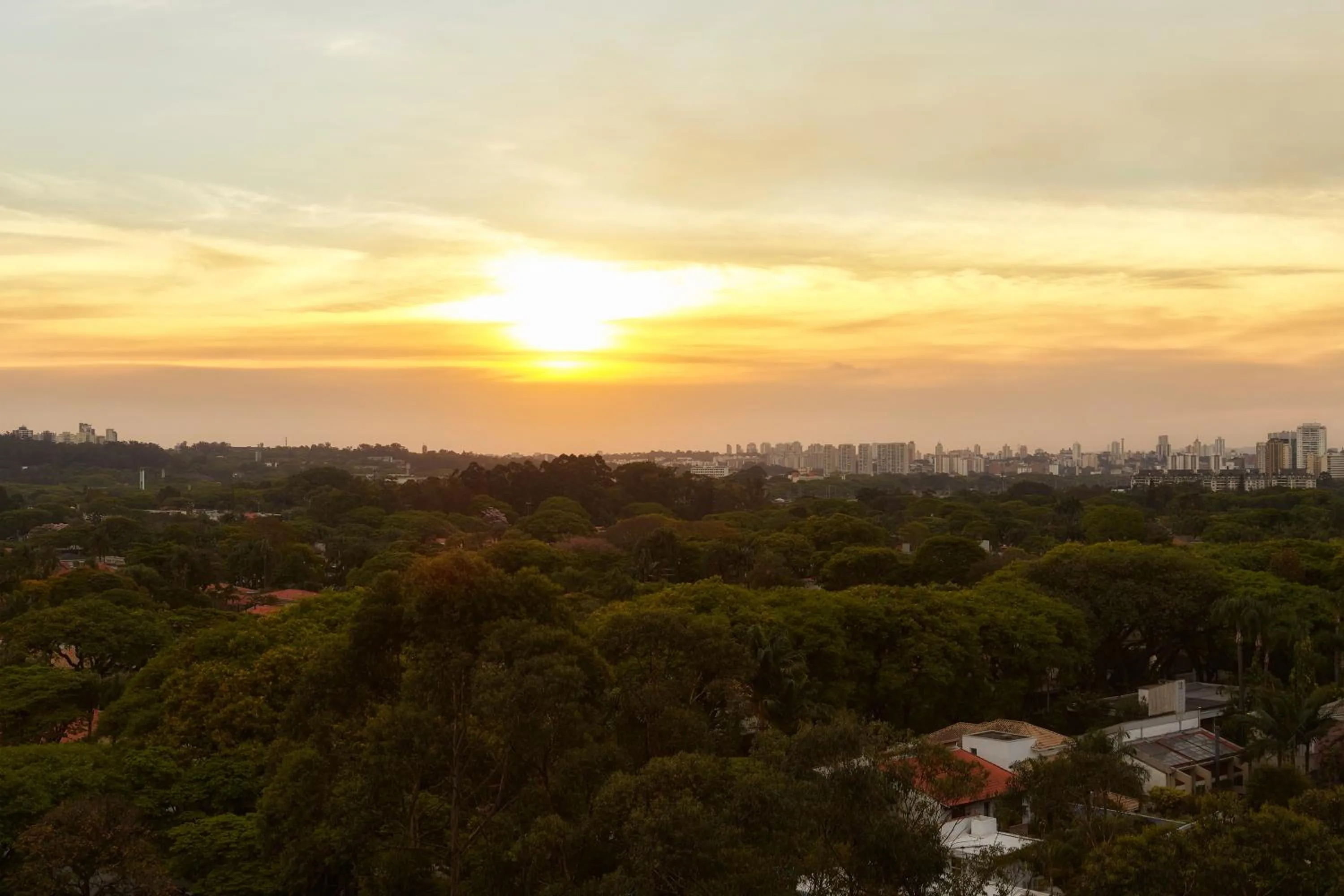 Natural landscape in George V Alto De Pinheiros