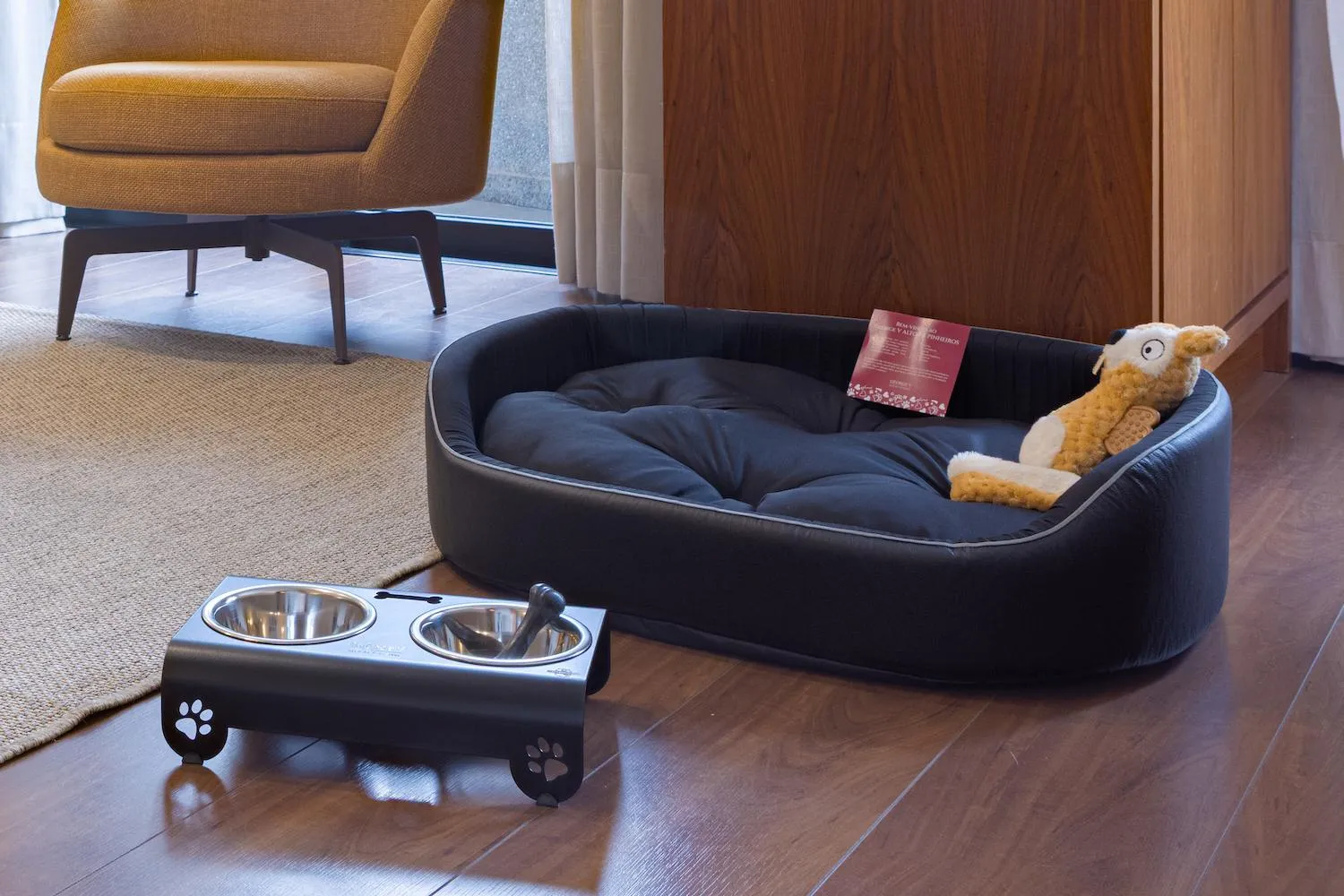 Pets in George V Alto De Pinheiros