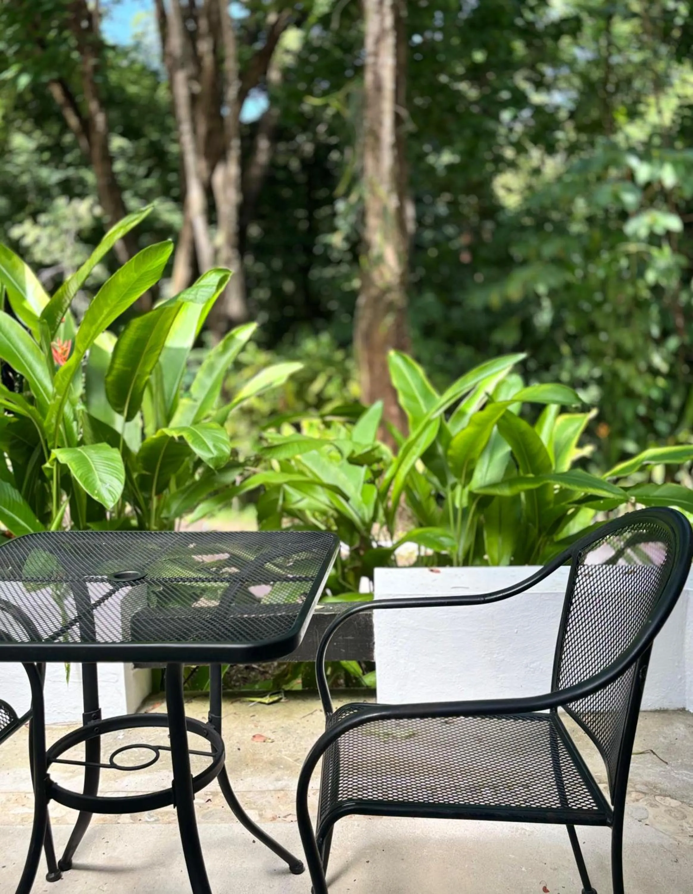 Garden view in Hotel Nututun Palenque