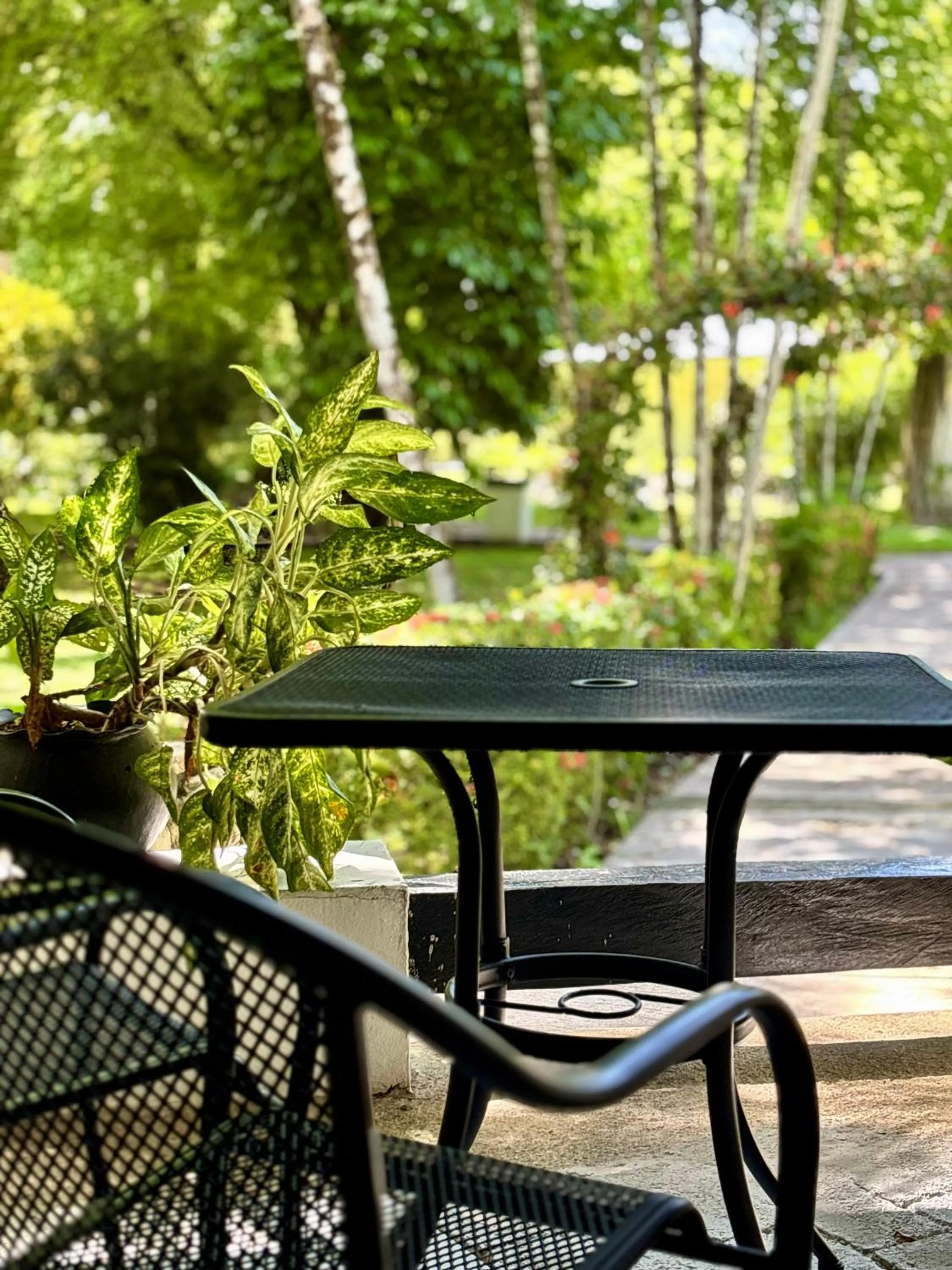 Garden view in Hotel Nututun Palenque