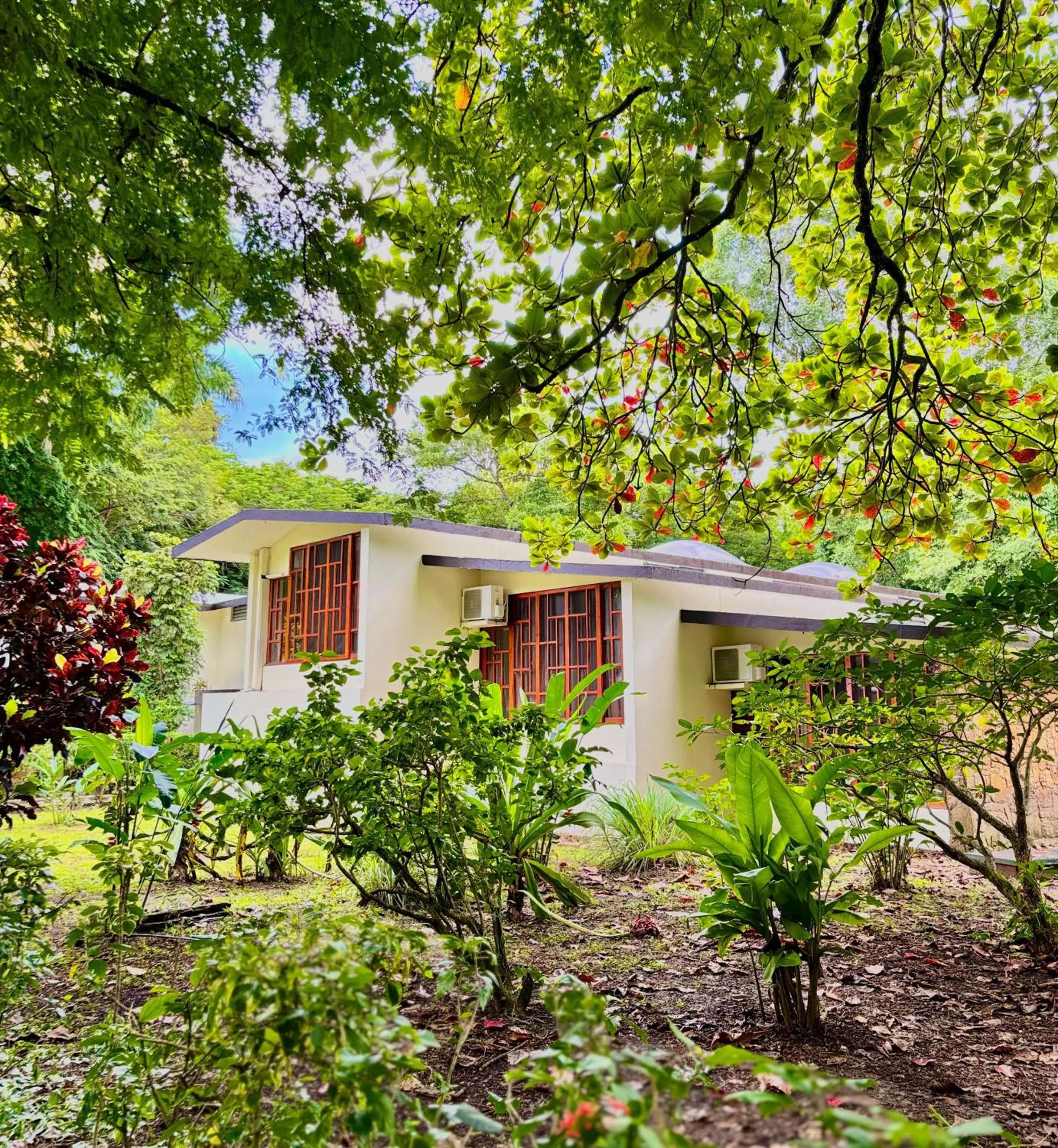 Property building in Hotel Nututun Palenque