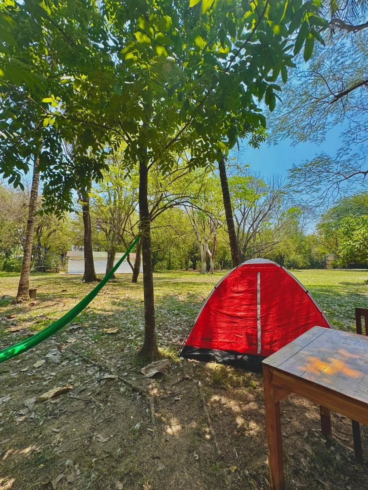 Off site in Hotel Nututun Palenque