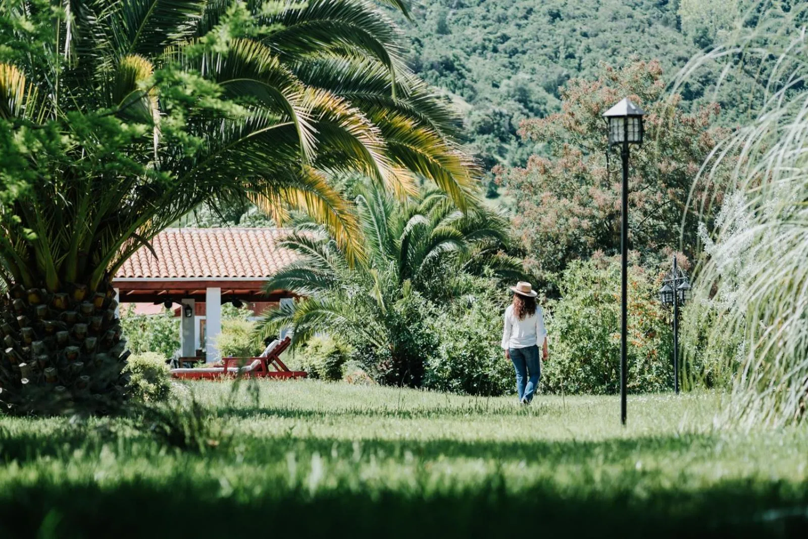 Natural landscape in Hotel Boutique Solaz Bella Vista de Colchagua