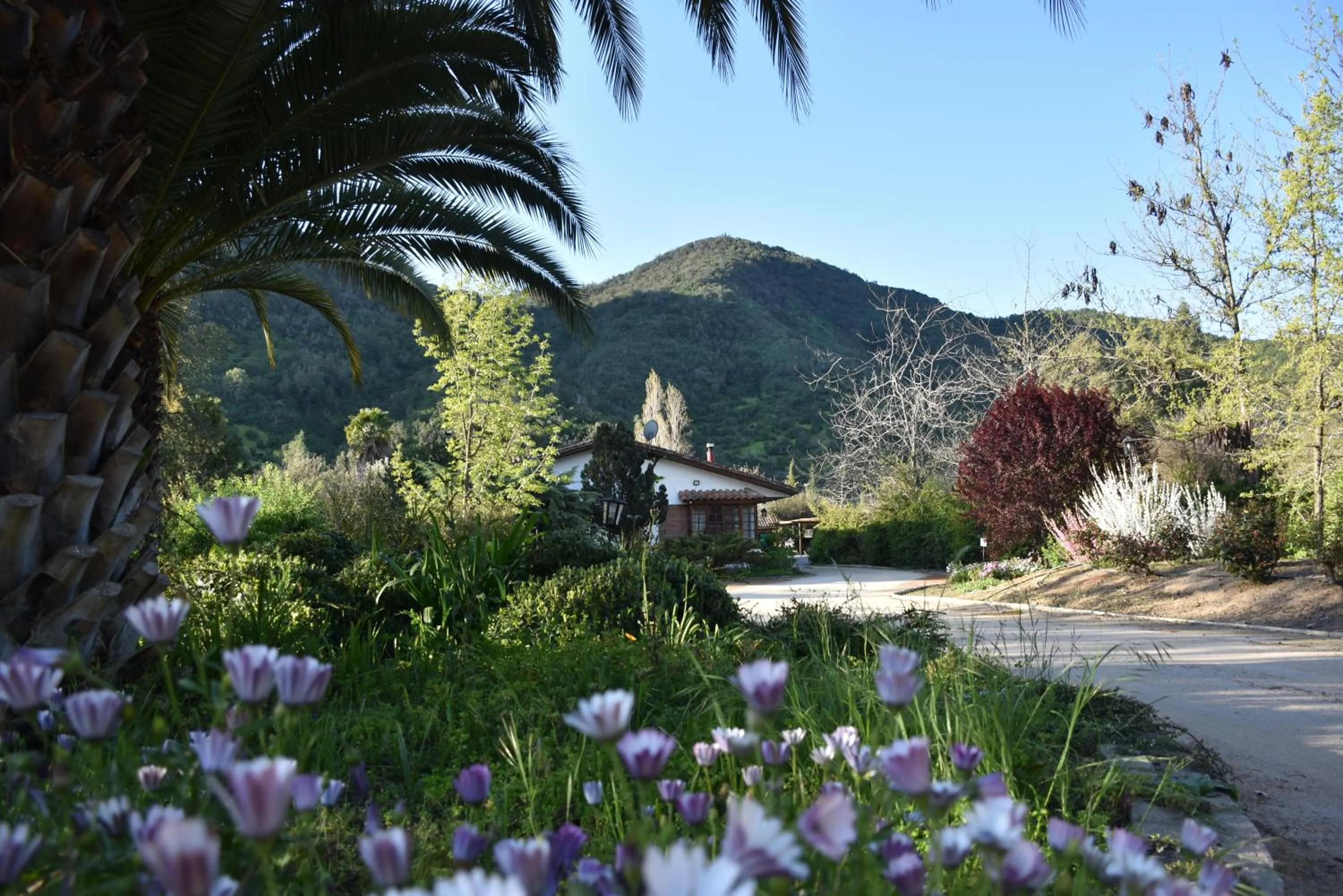 Natural landscape in Hotel Boutique Solaz Bella Vista de Colchagua
