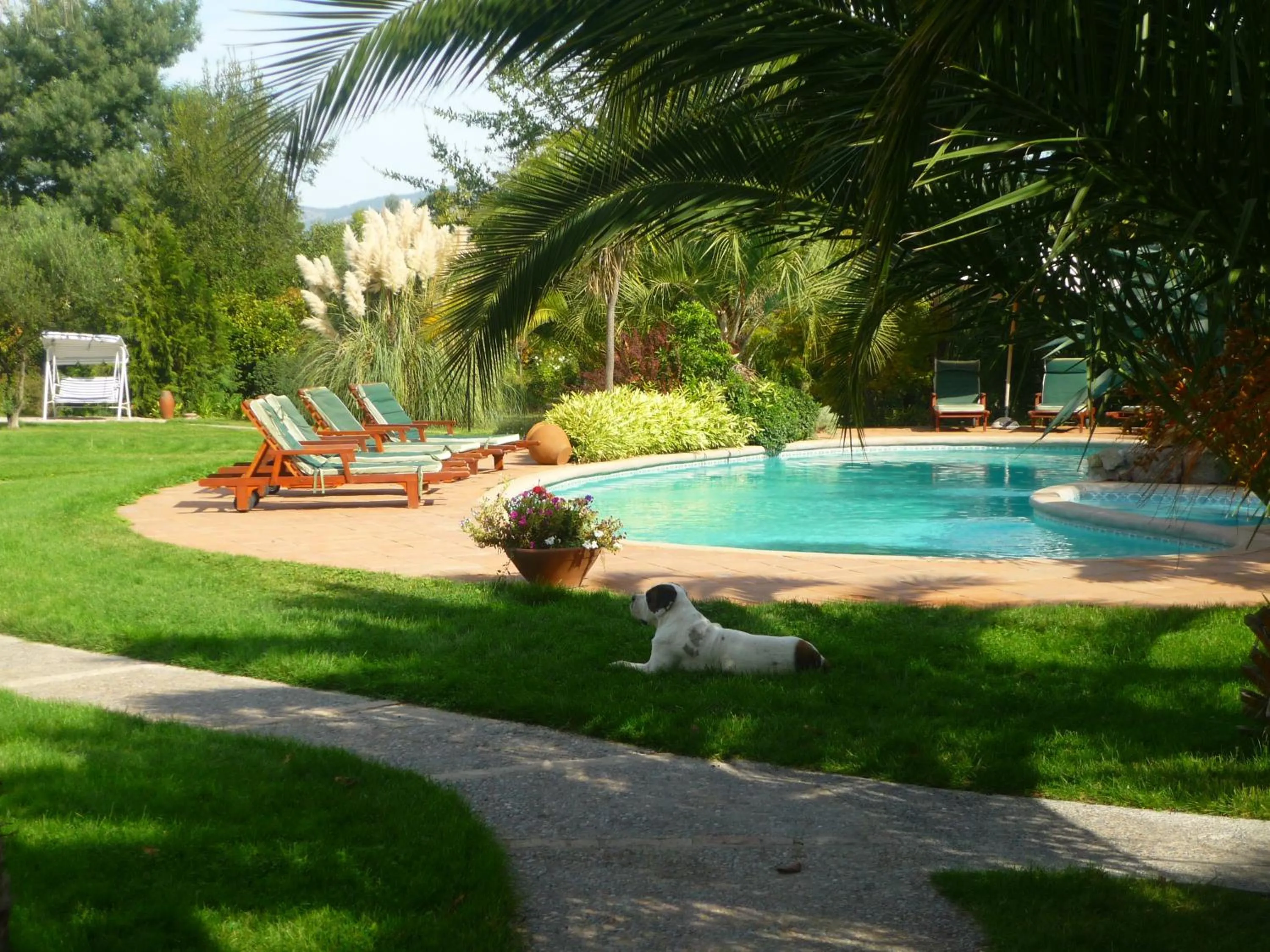 Garden in Hotel Boutique Solaz Bella Vista de Colchagua