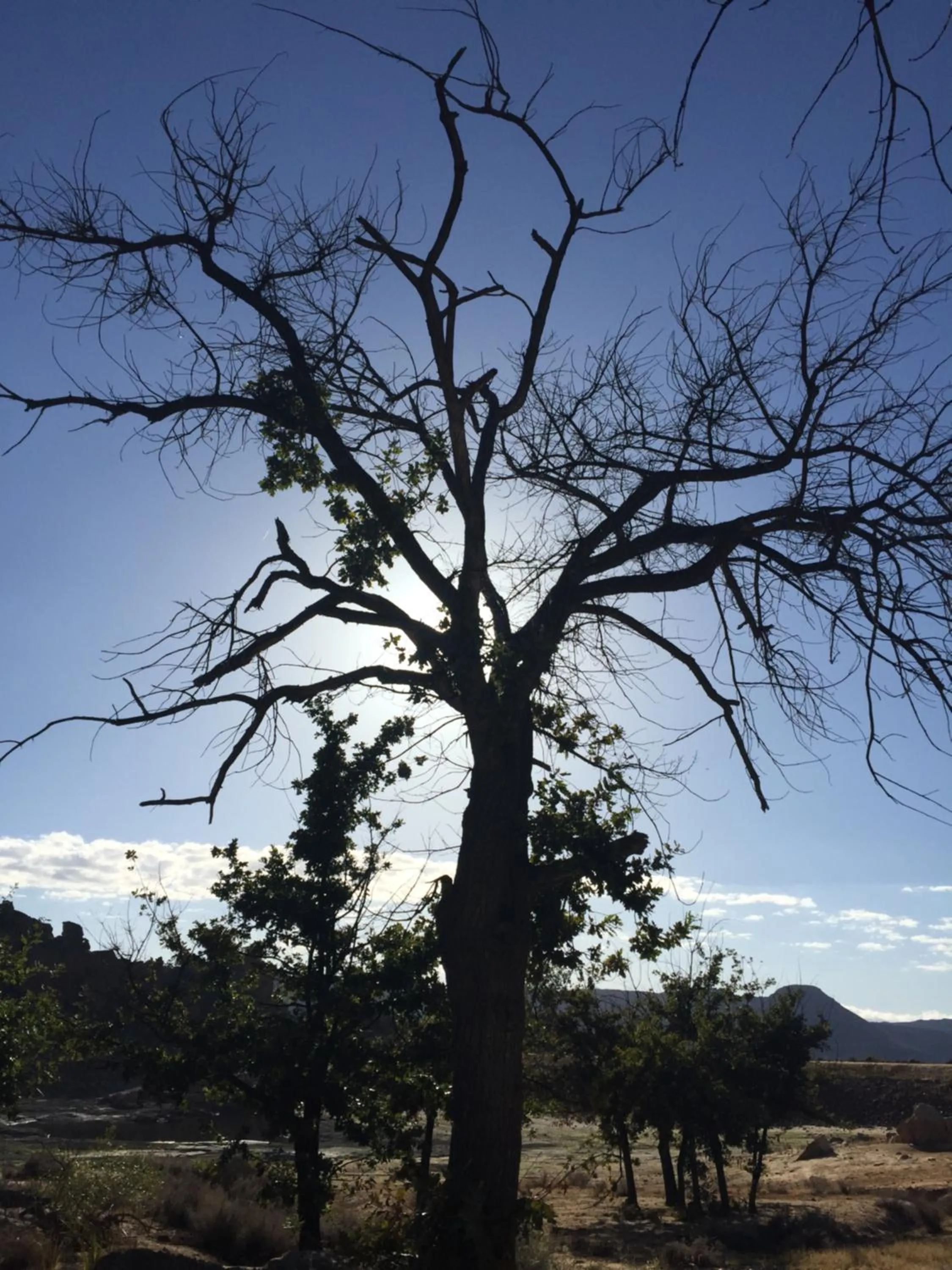 Heiveld Farm Cottages