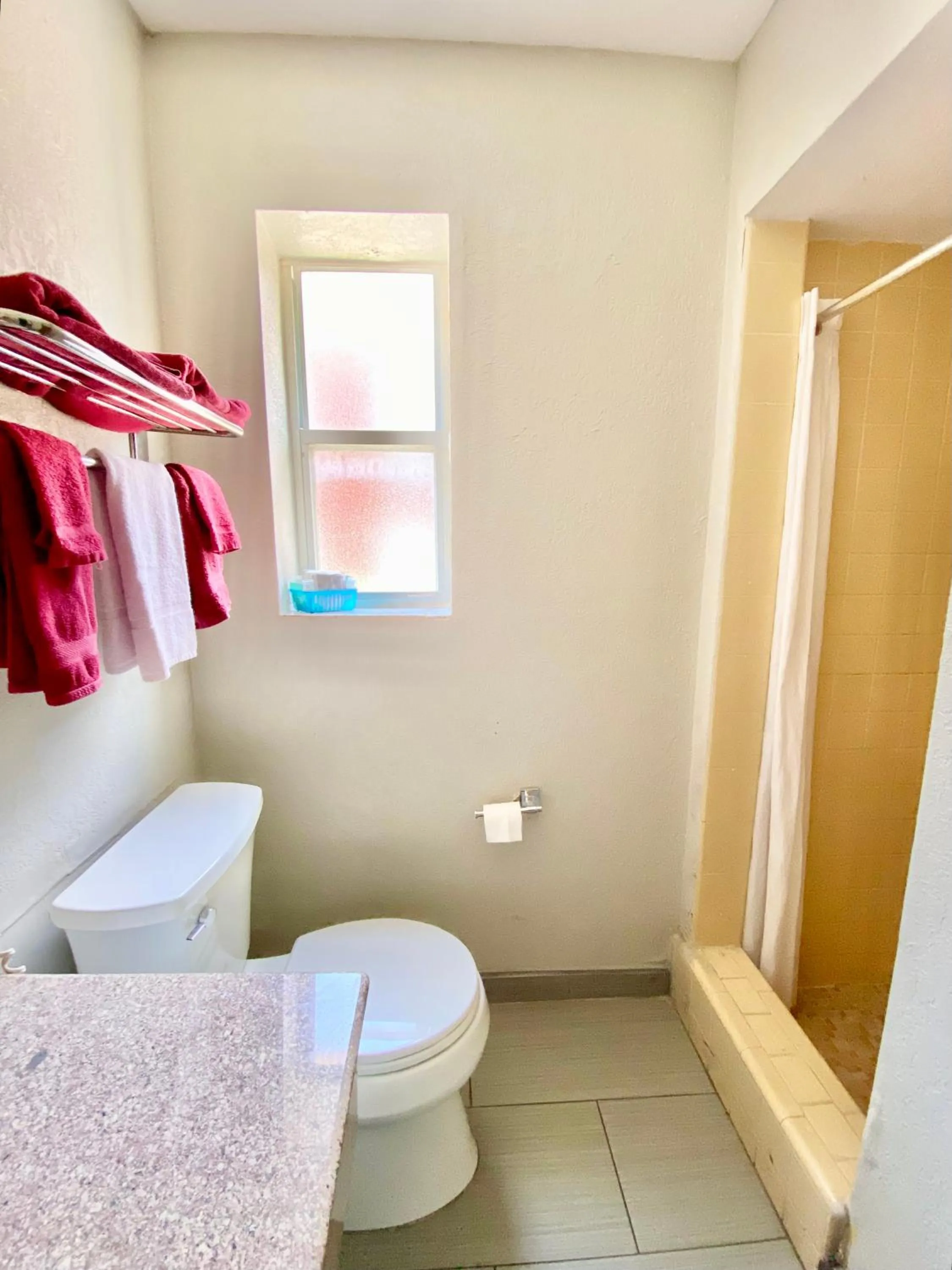 King Room in Gainesville Lodge