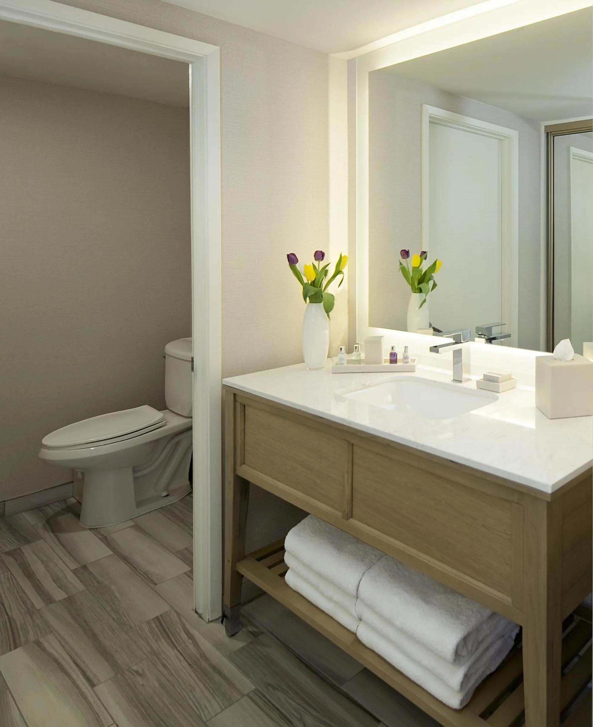 Toilet in Spyglass Inn