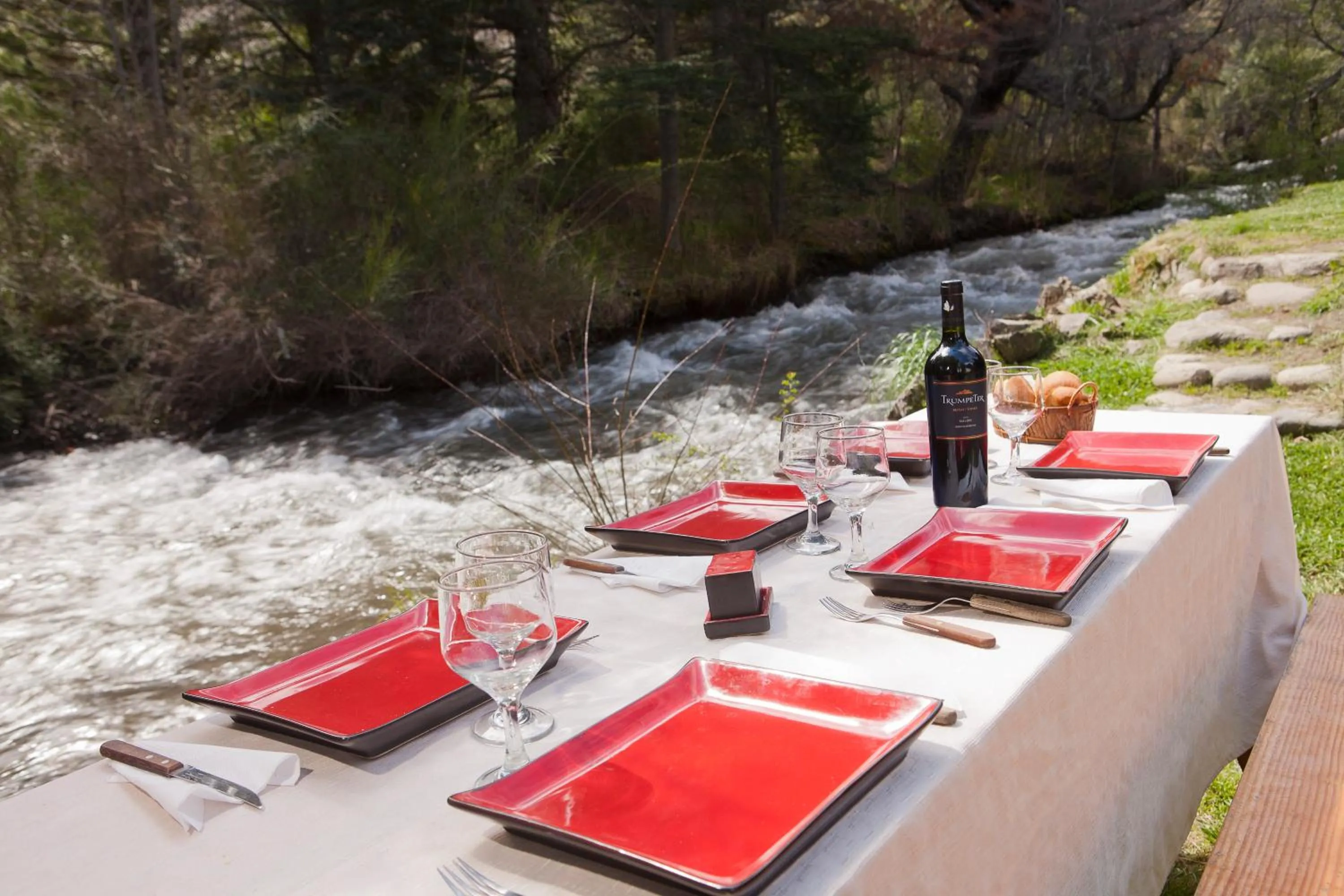 Spring in Cabañas Rucaleufu