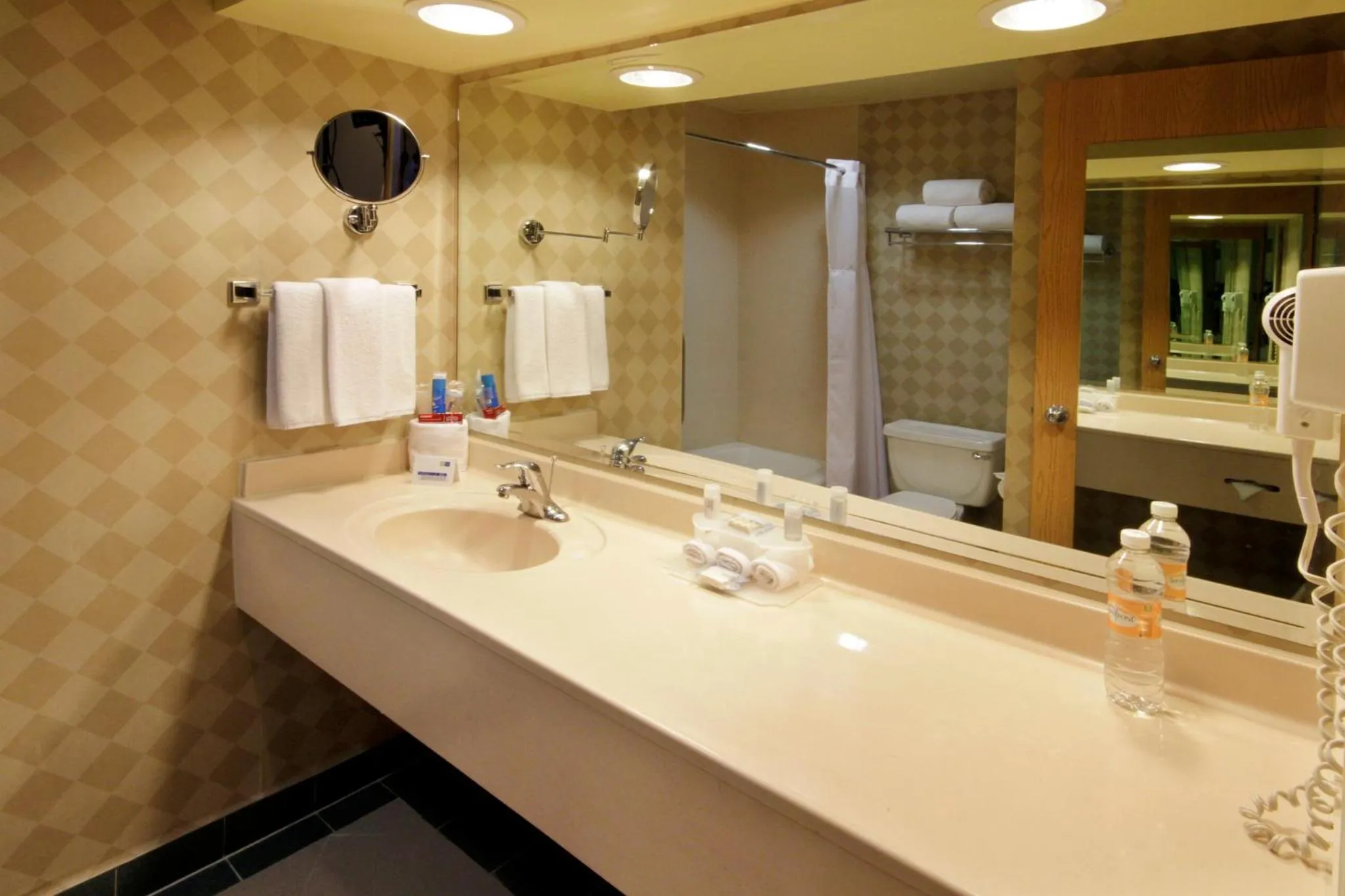 Bathroom in Holiday Inn Express Torreon by IHG