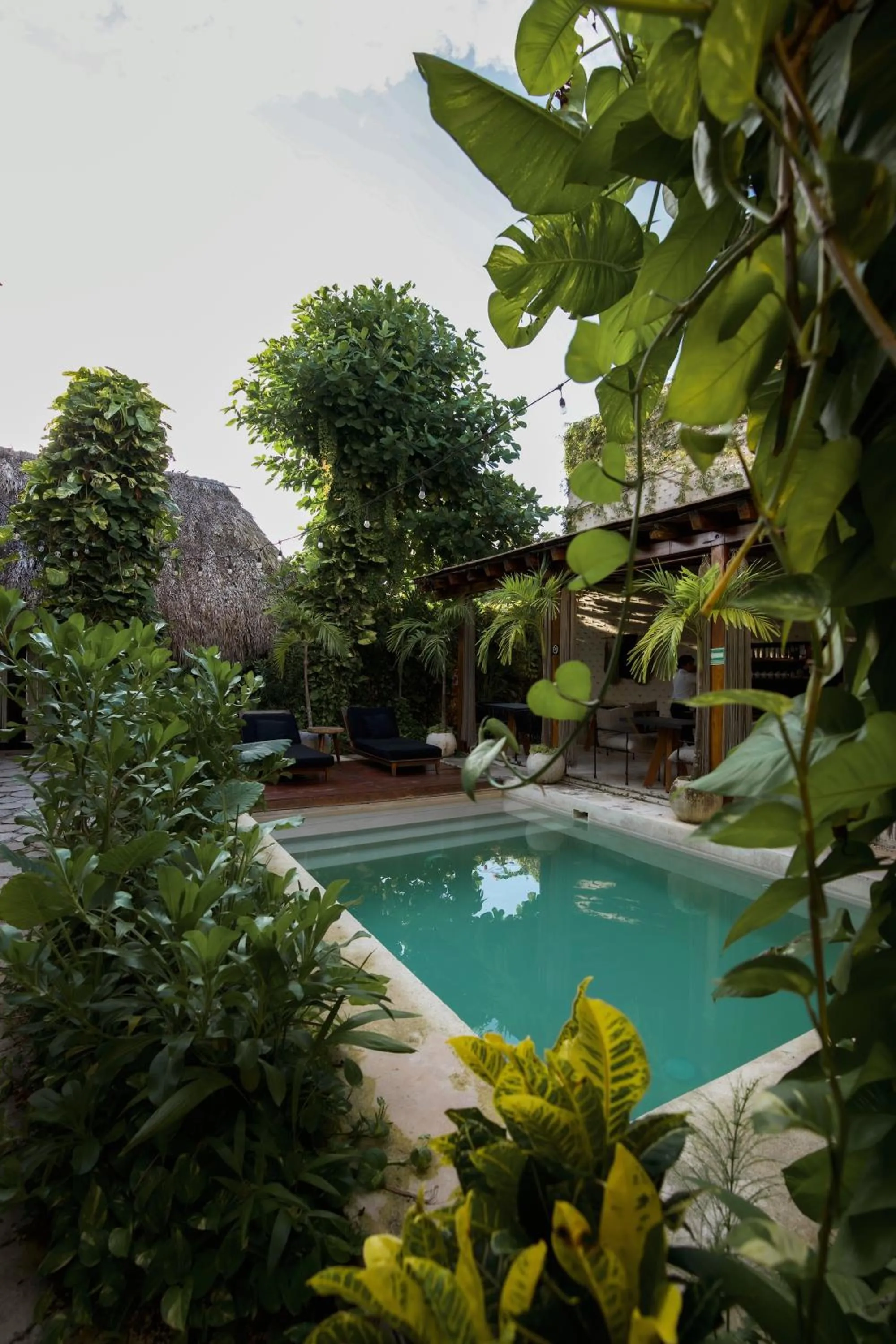 Pool view in Colonte Hotel Origen