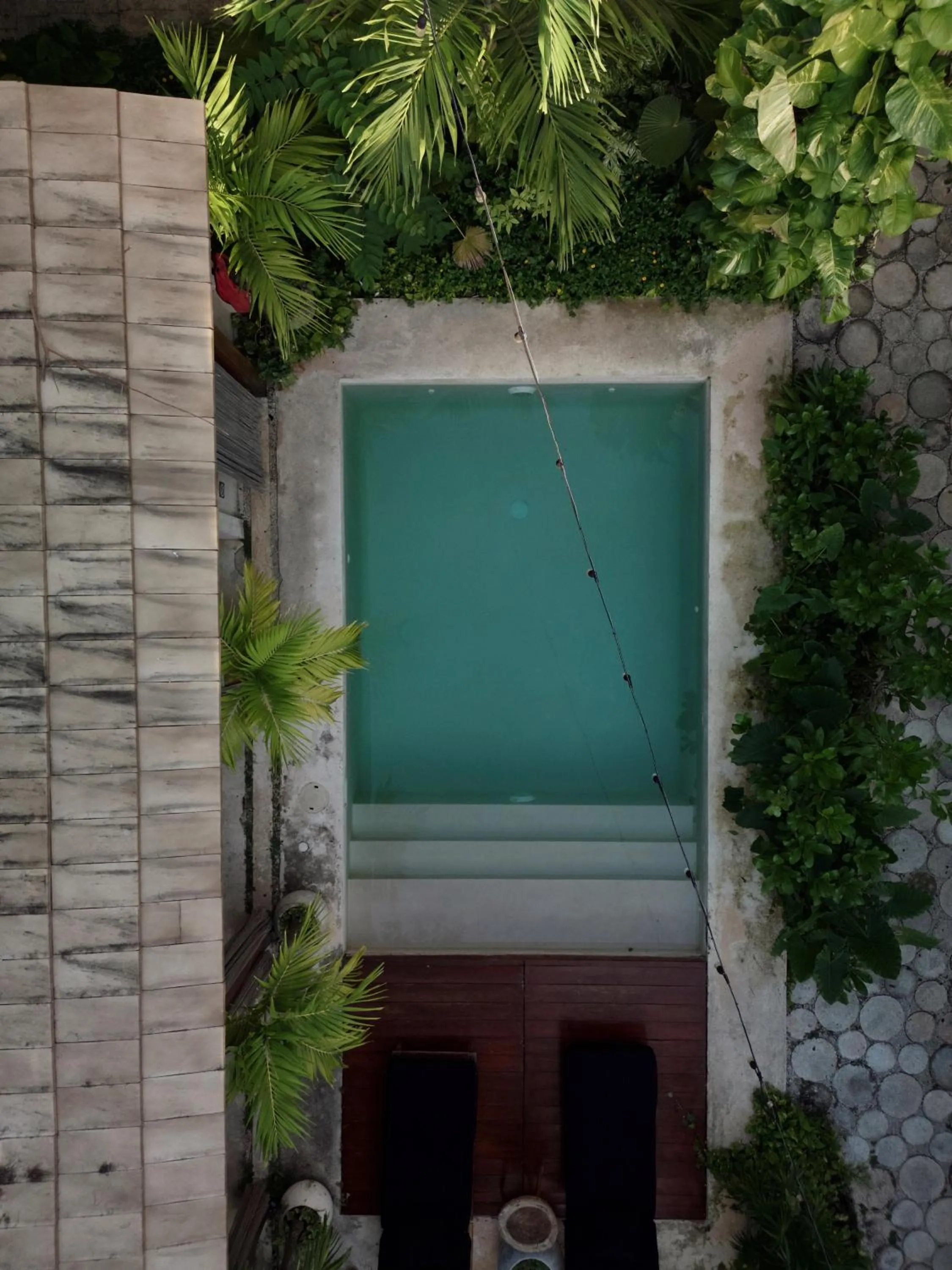 Colonte Hotel Origen