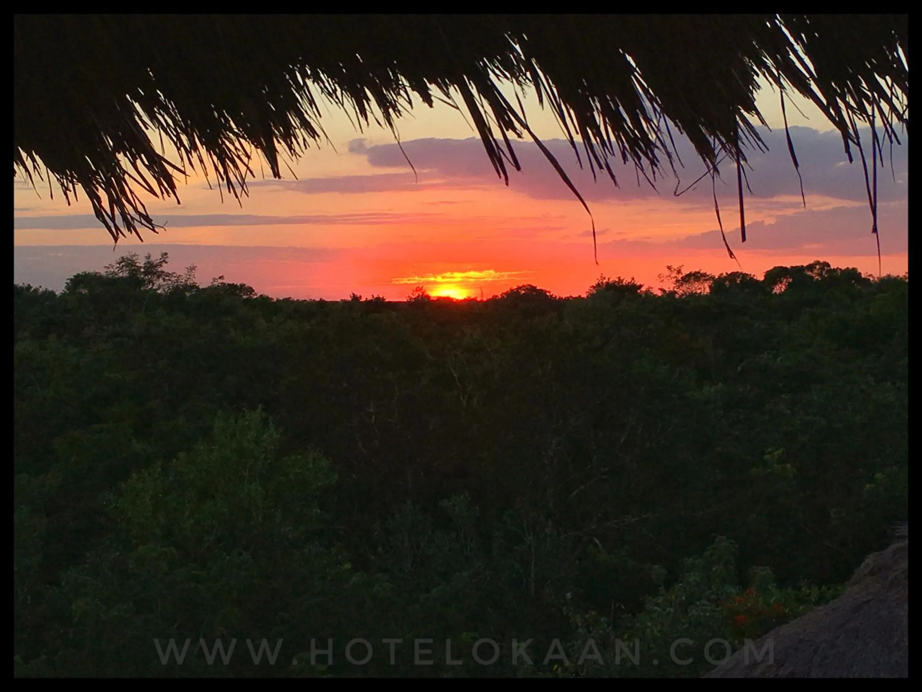 Garden view in Hotel Okaan