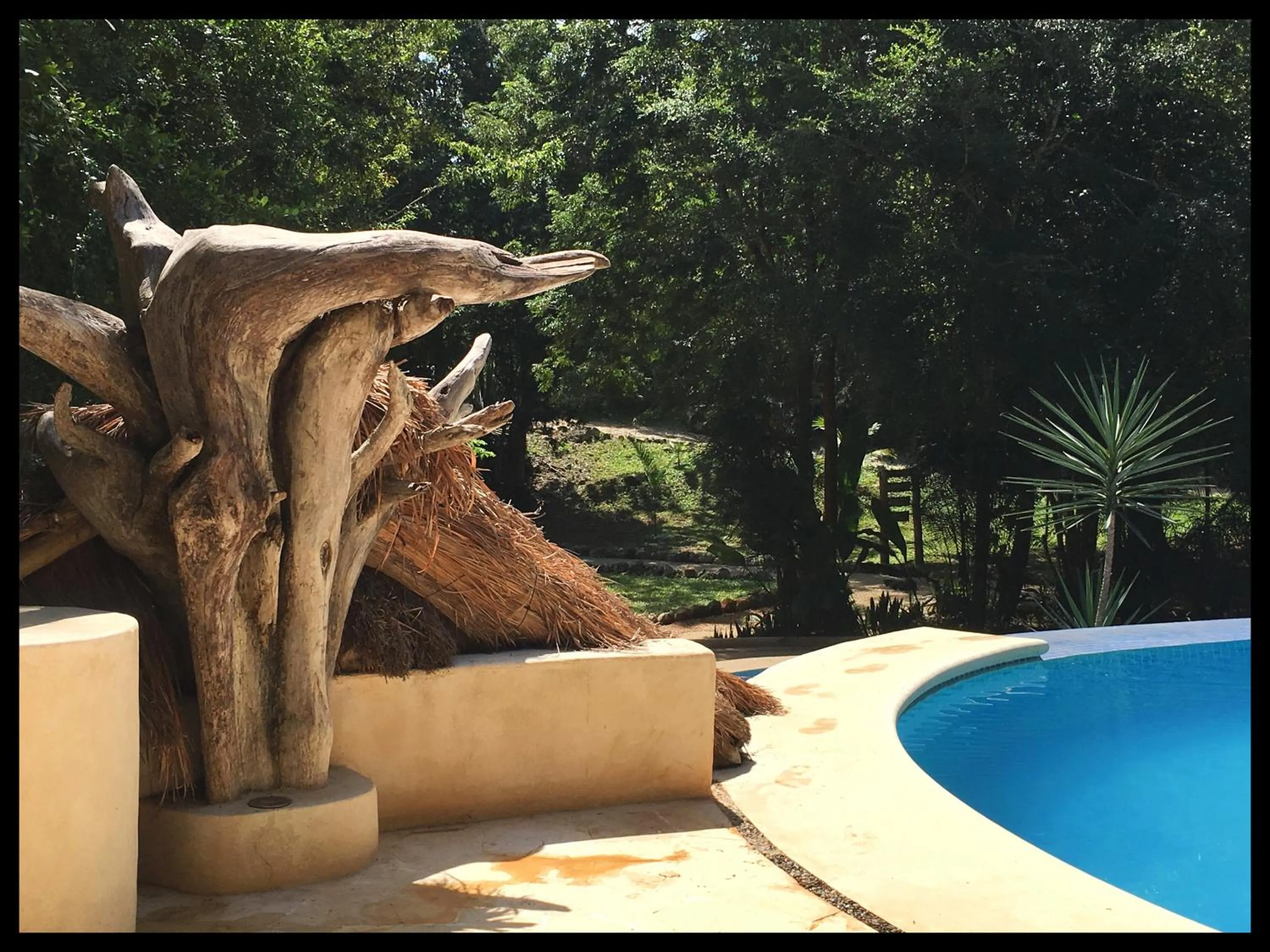 Swimming pool in Hotel Okaan