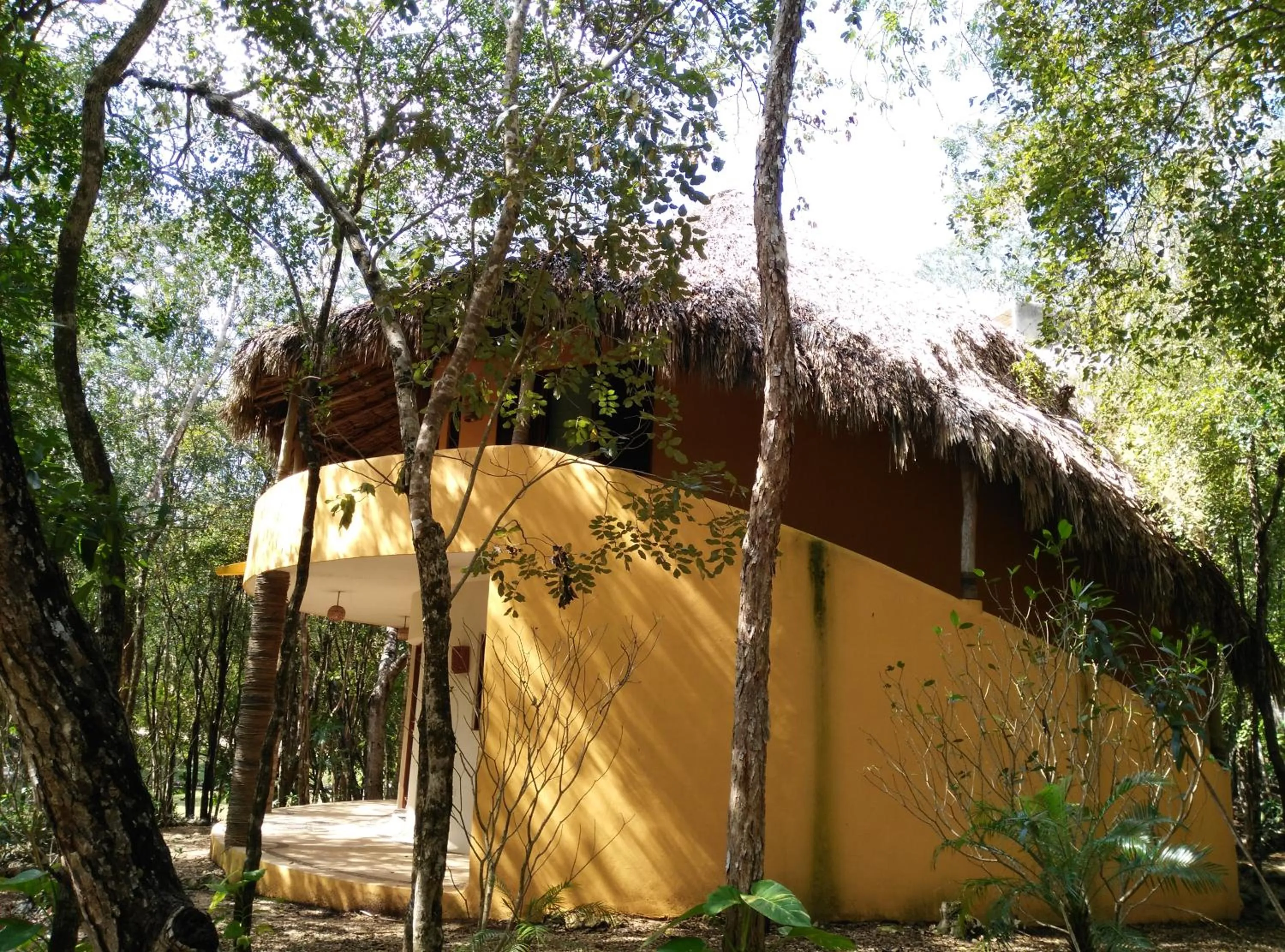 Photo of the whole room in Hotel Okaan