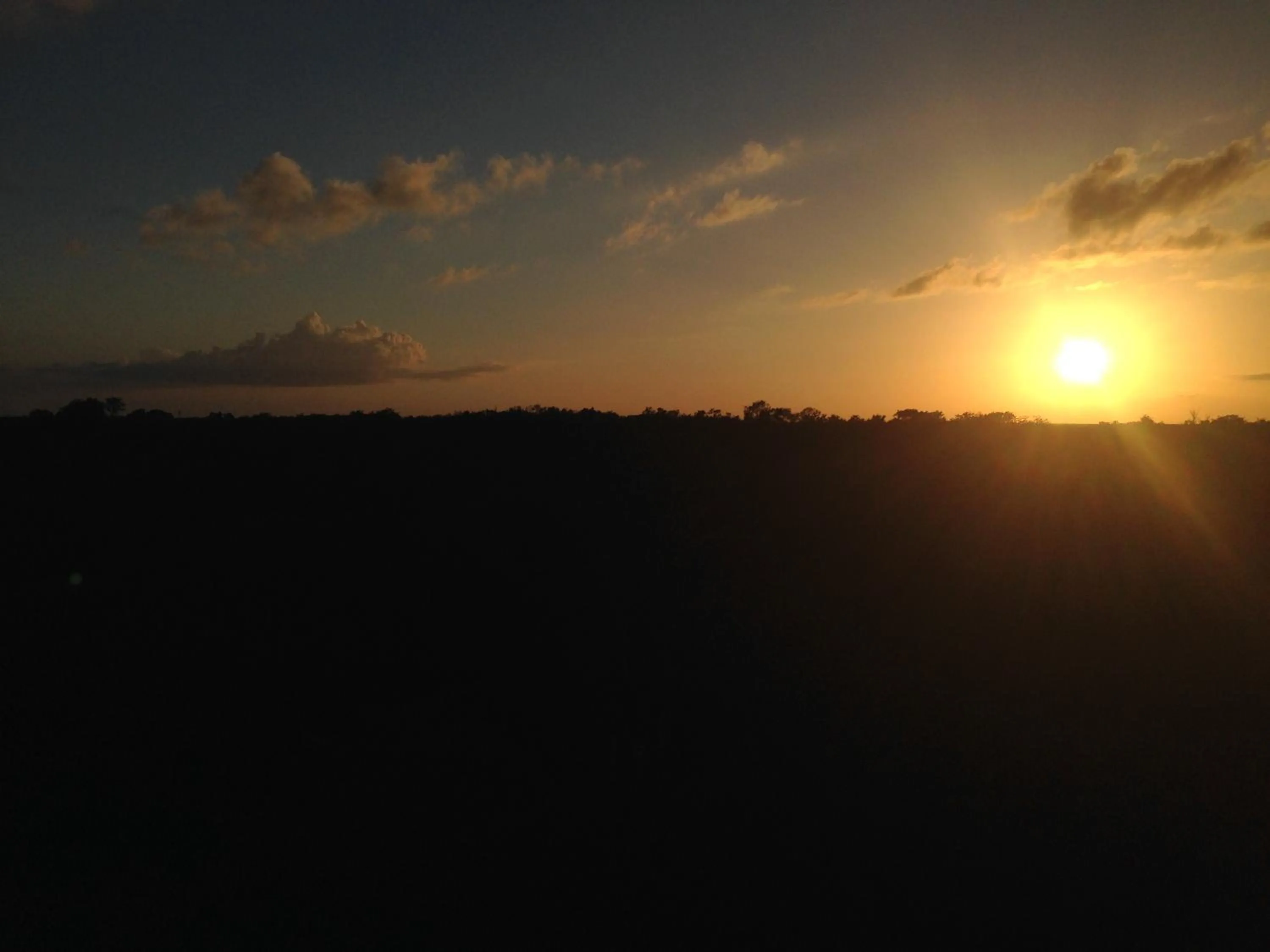 Garden view in Hotel Okaan