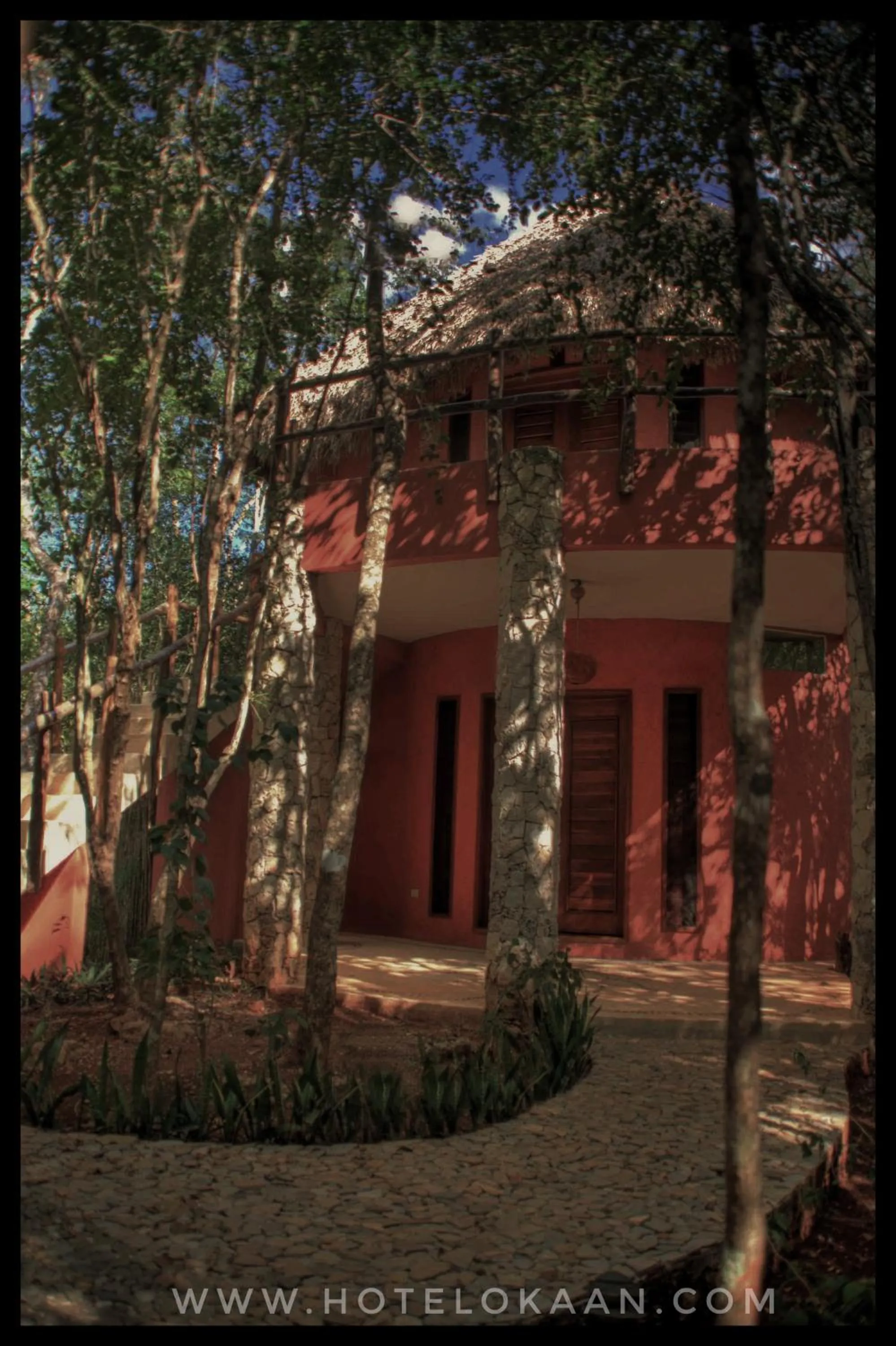 Photo of the whole room in Hotel Okaan