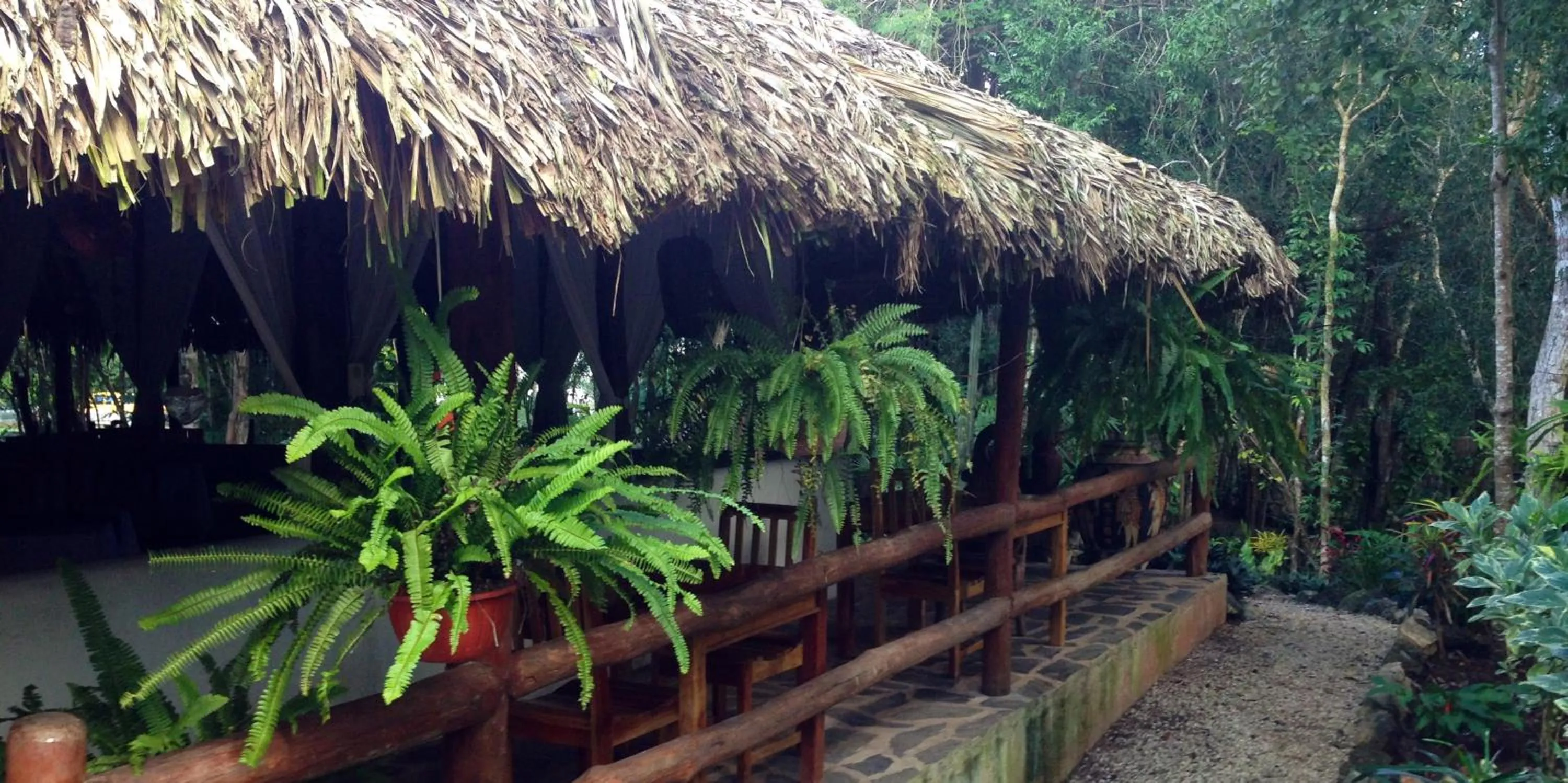 Restaurant/places to eat in Hotel Okaan