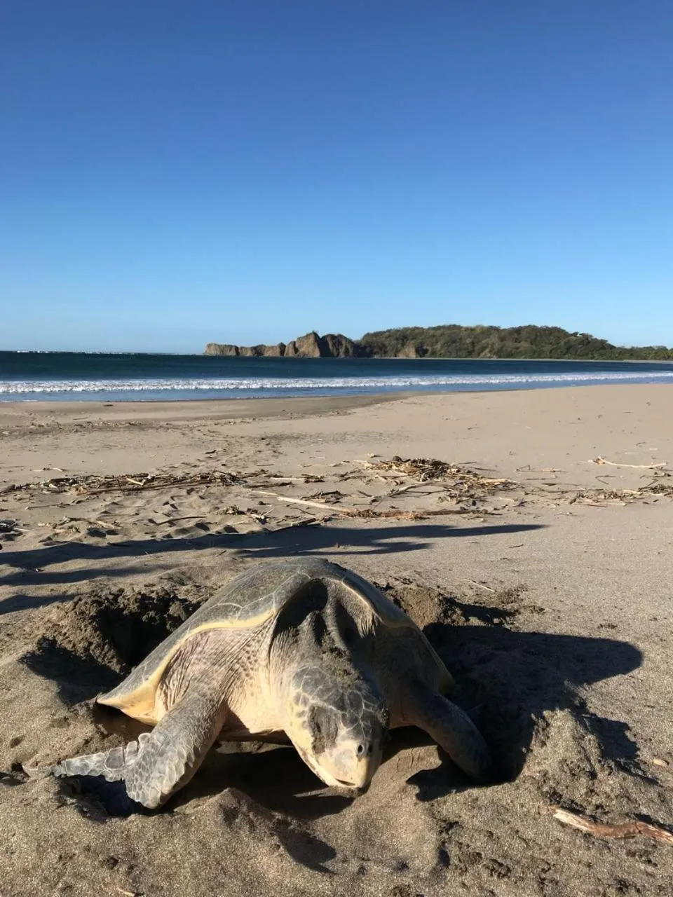 Beach in Hotel Giada