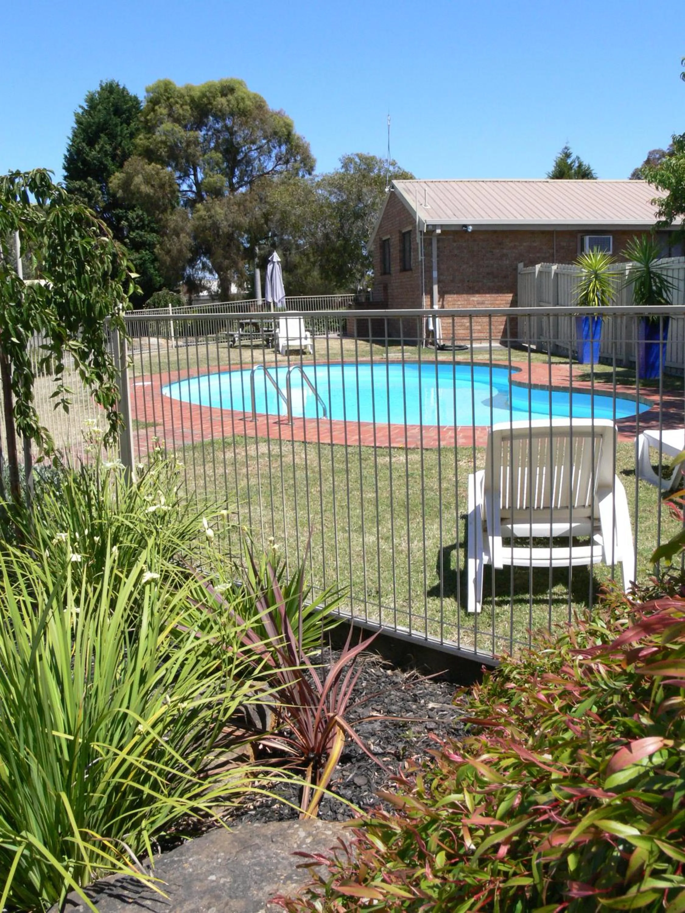 Swimming pool in Begonia City Motor Inn