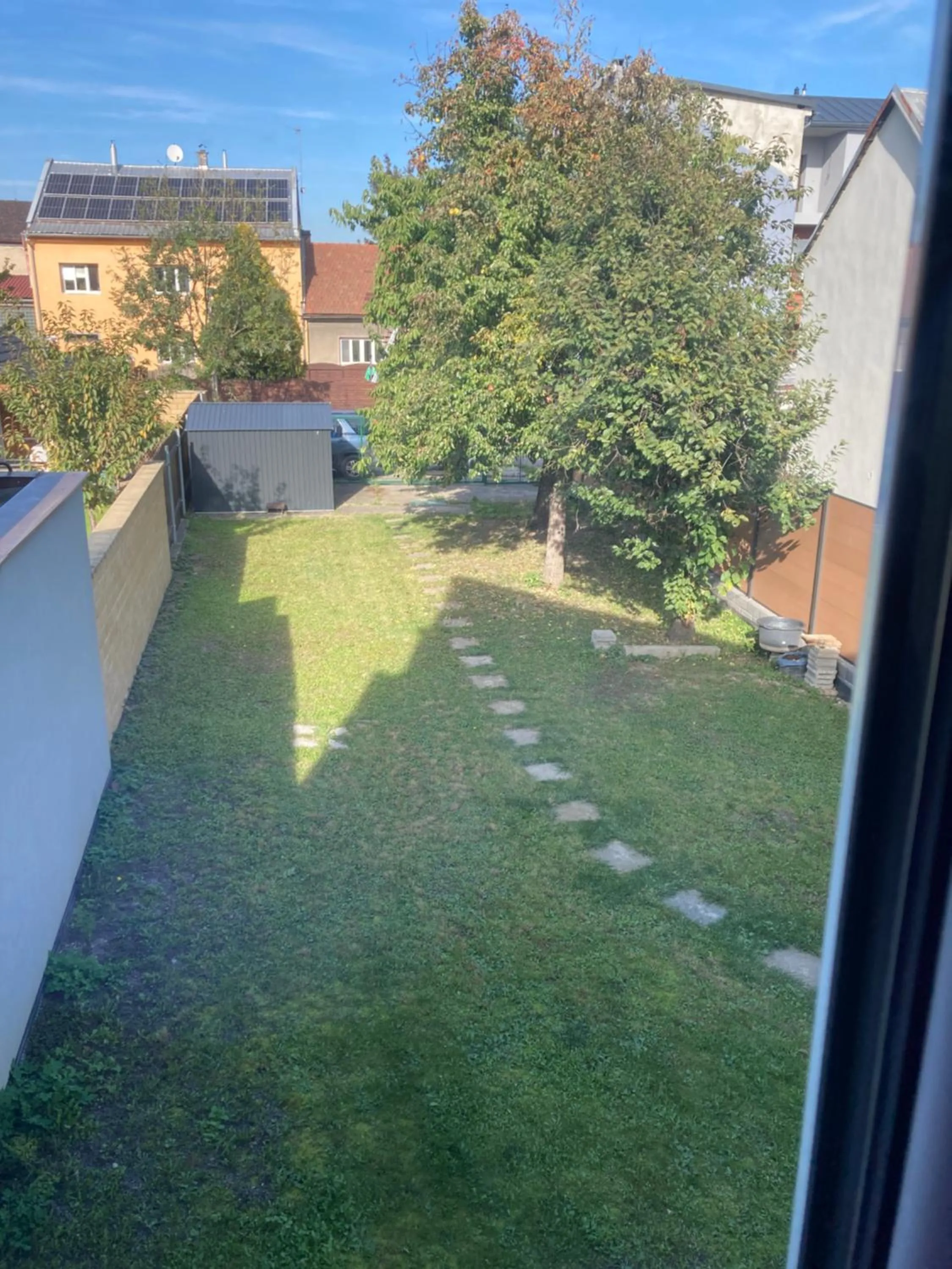Garden in Sausage dog's apartments