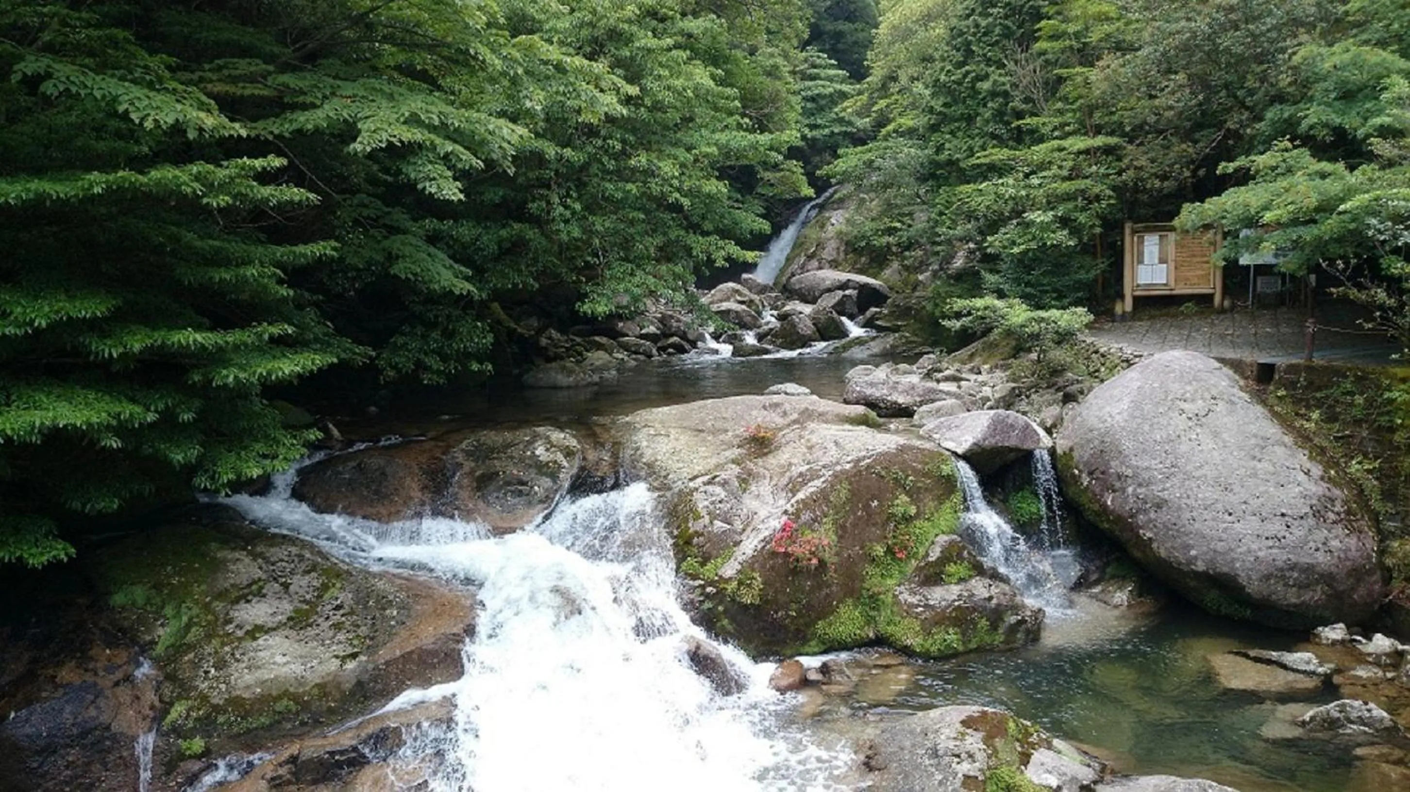 Off site in Maetakeso