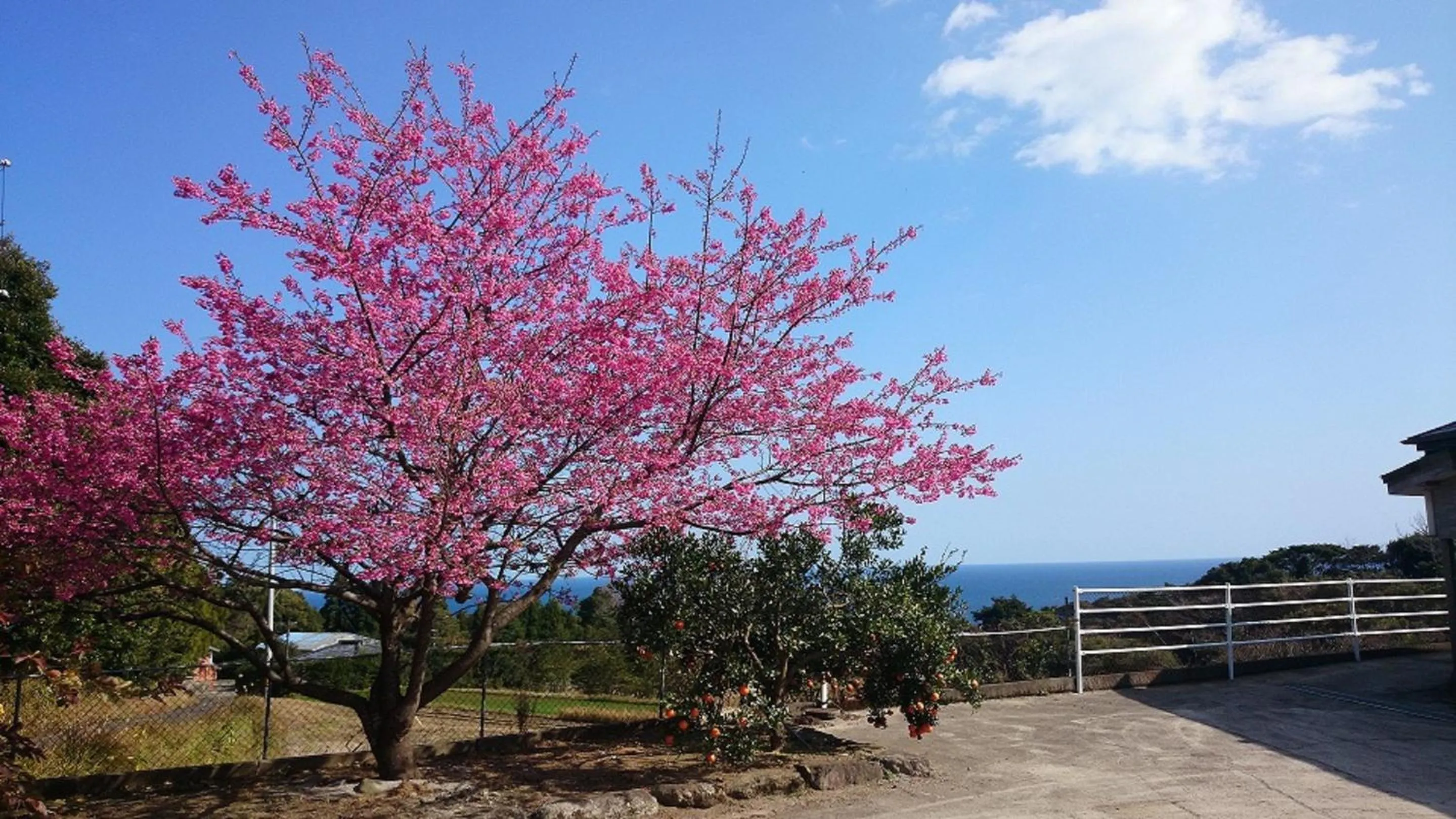 View (from property/room) in Maetakeso