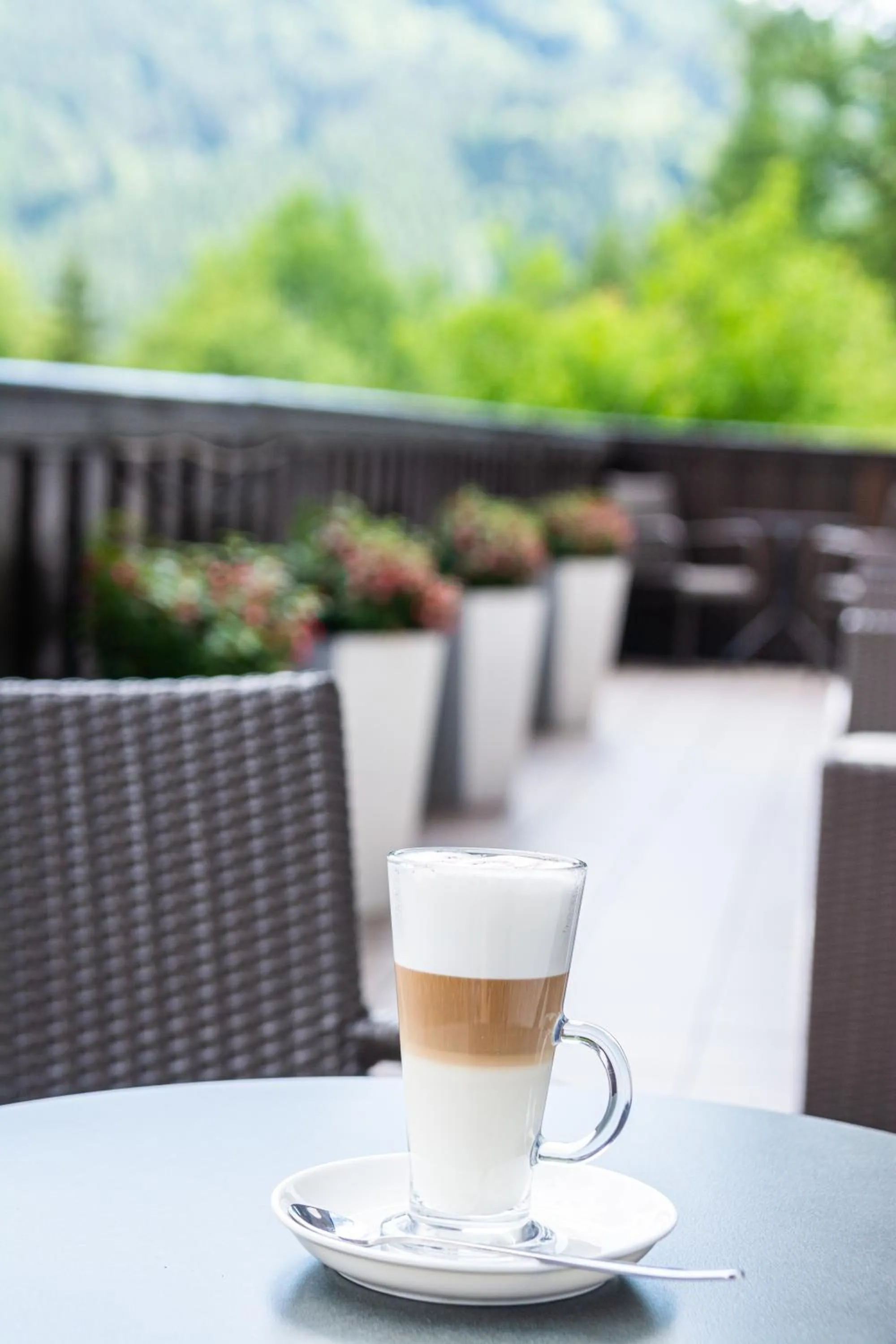 Restaurant/places to eat in Hotel Nawigator Szczawnica