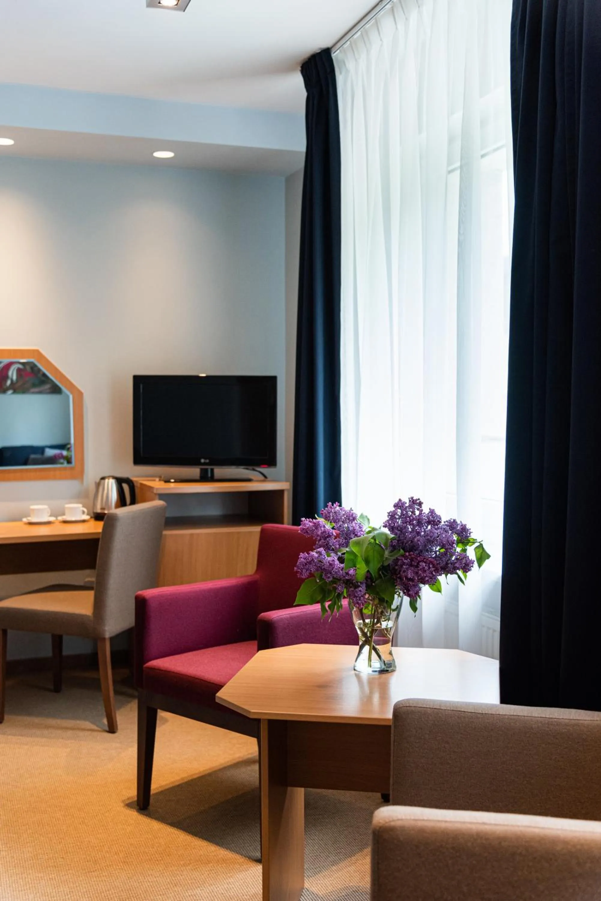 TV and multimedia in Hotel Nawigator Szczawnica