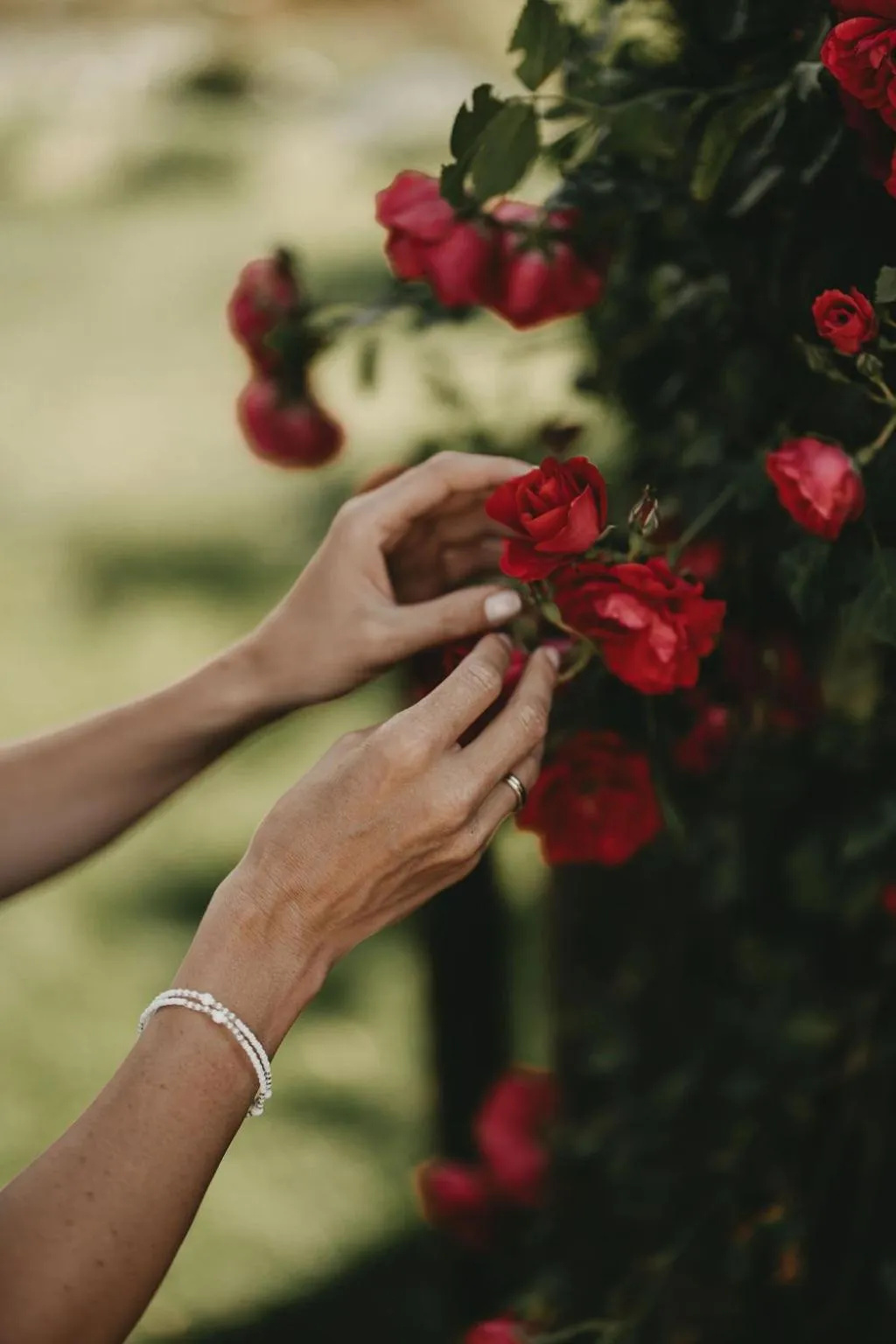 Garden in Hotel Rosenhof Murau