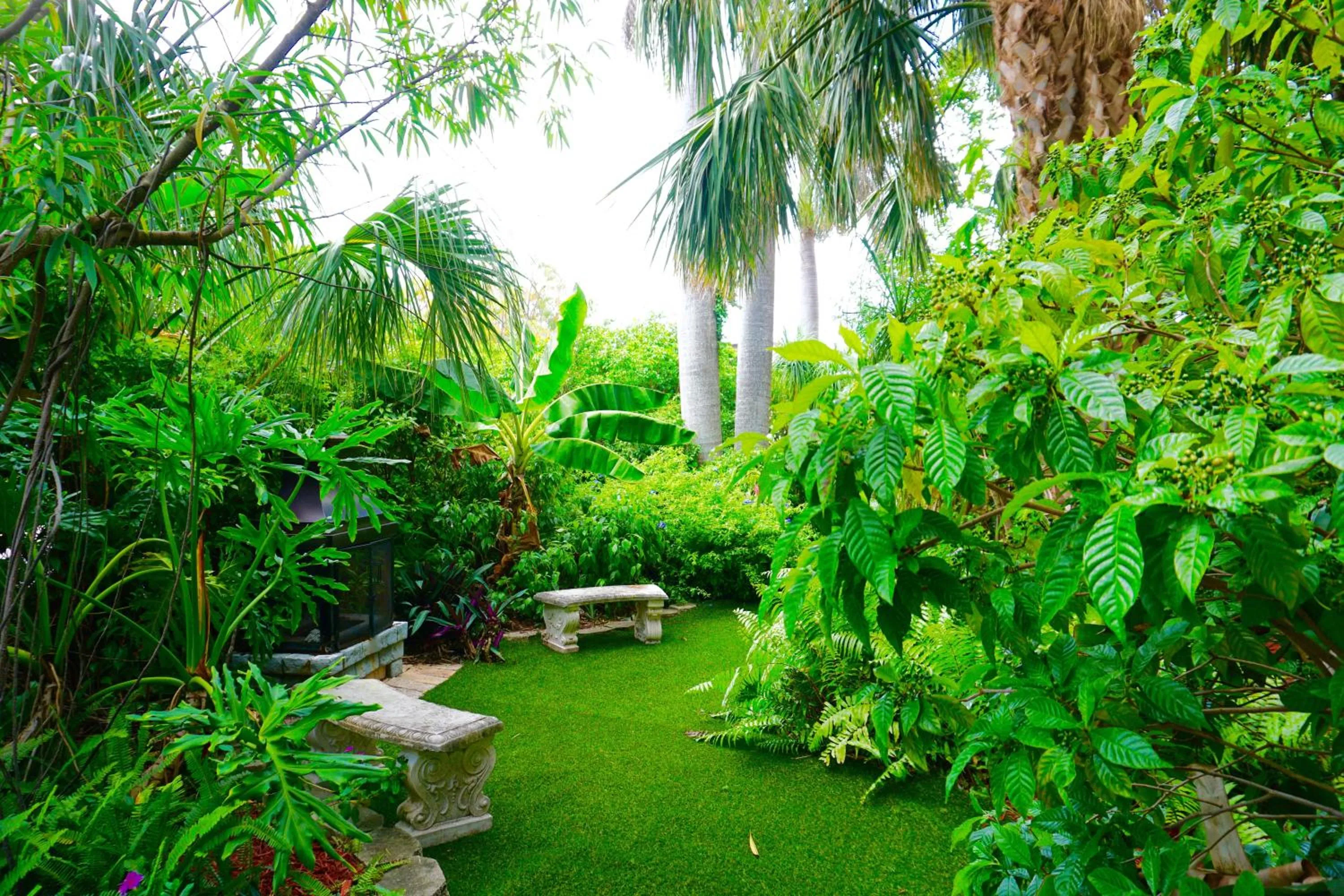 Garden in Riverside by the Beach Apartments