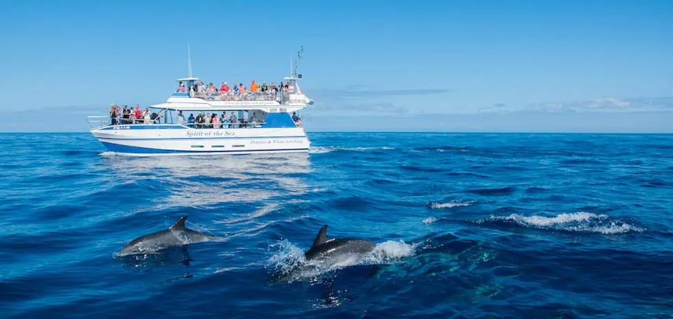 Natural landscape in Gran Amadores