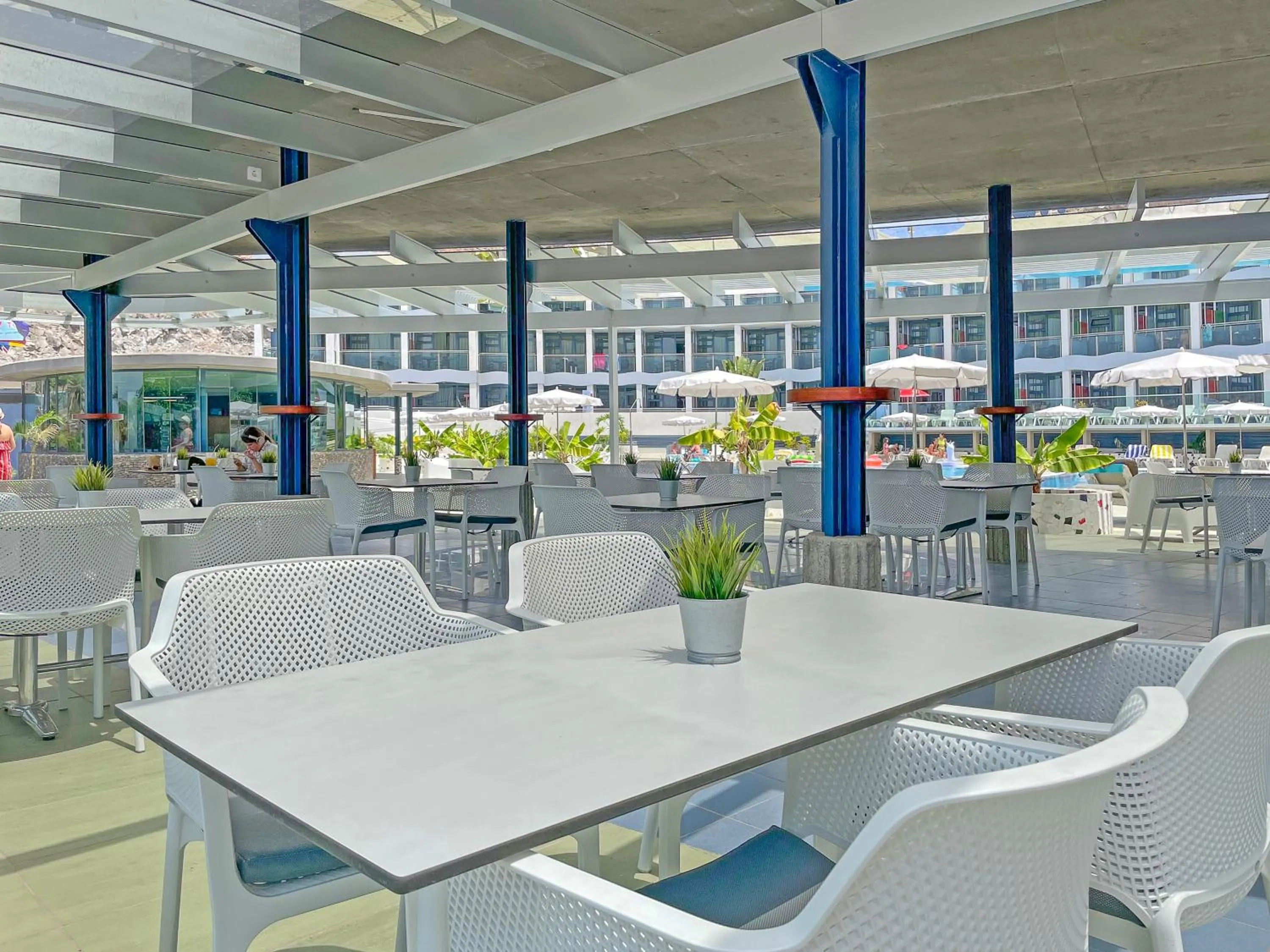 Lounge or bar in Gran Amadores