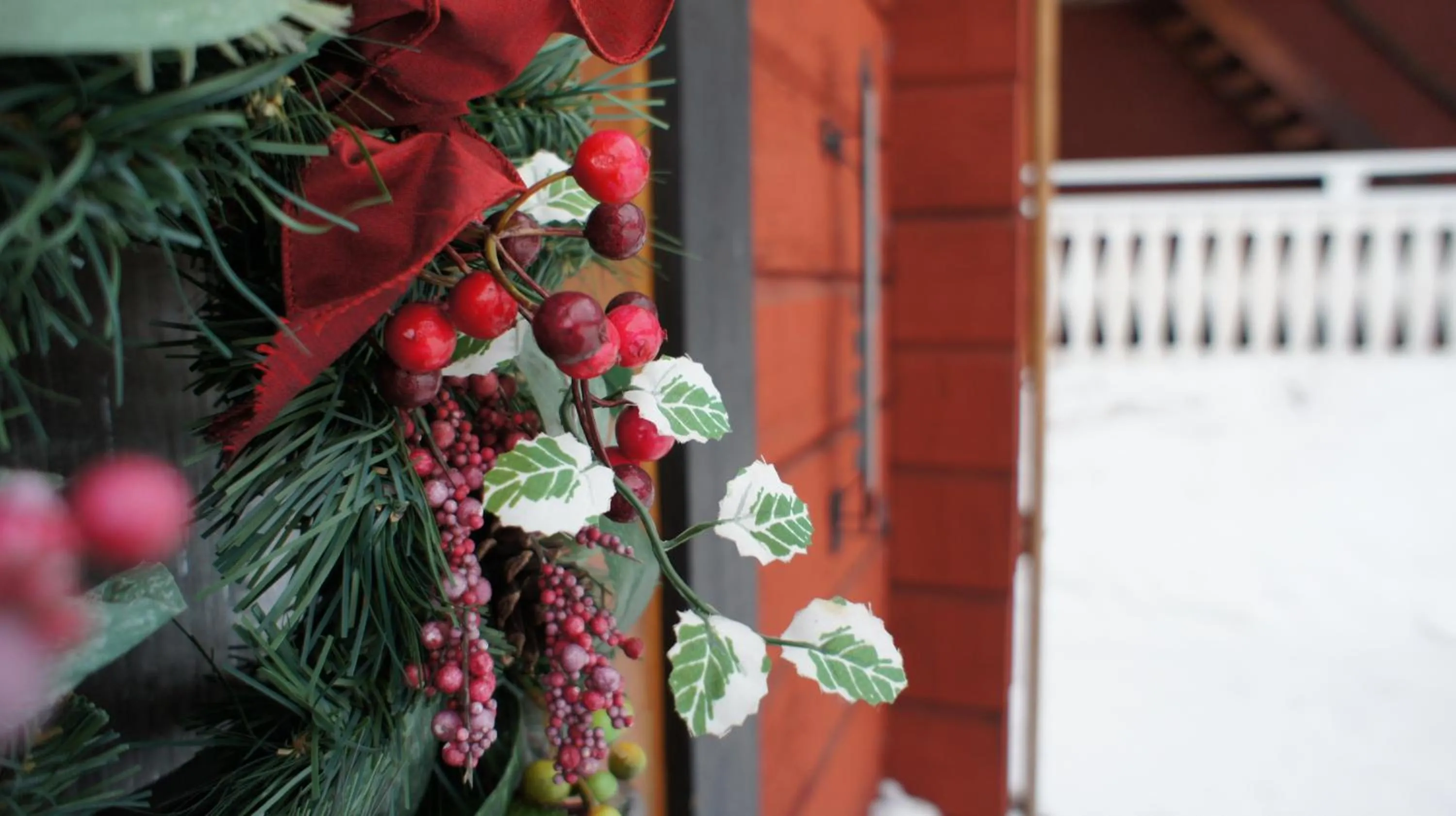 Area and facilities in Mannflogården Bed & Breakfast , Sälenfjällen