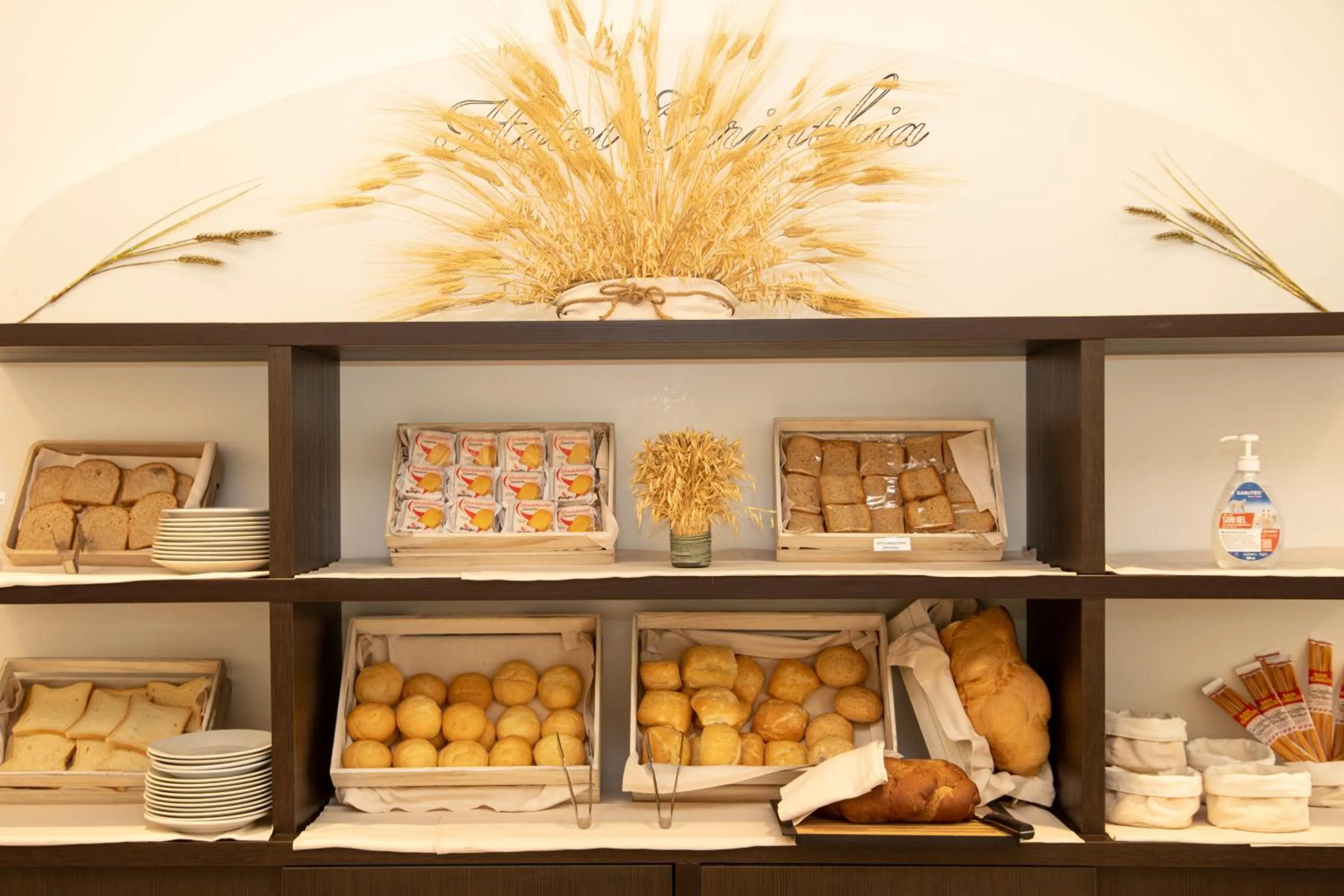 Hotel & Aparthotel Carinthia S